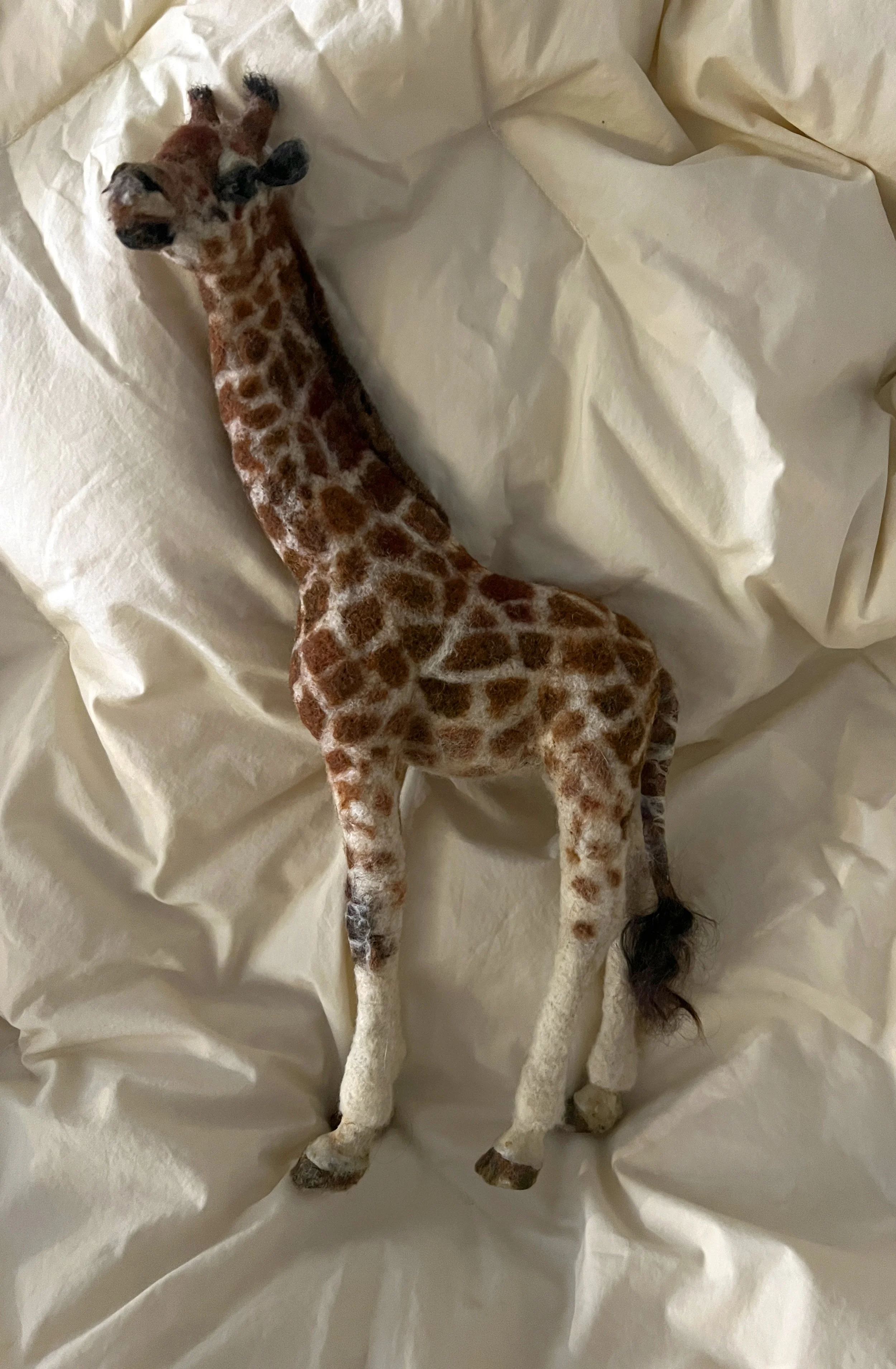 KGiraffe 23.jpg