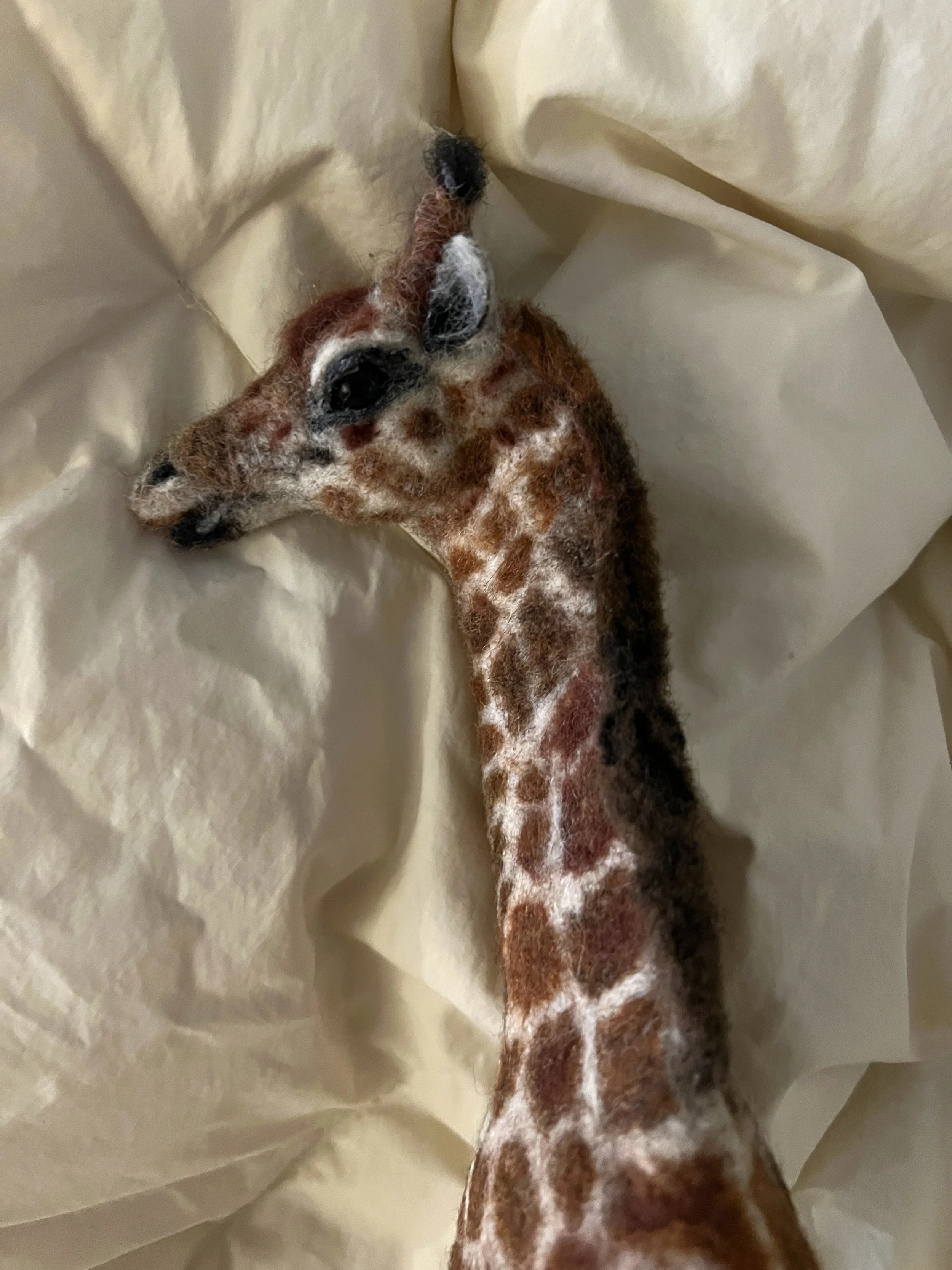 Giraffe Head 1.jpg