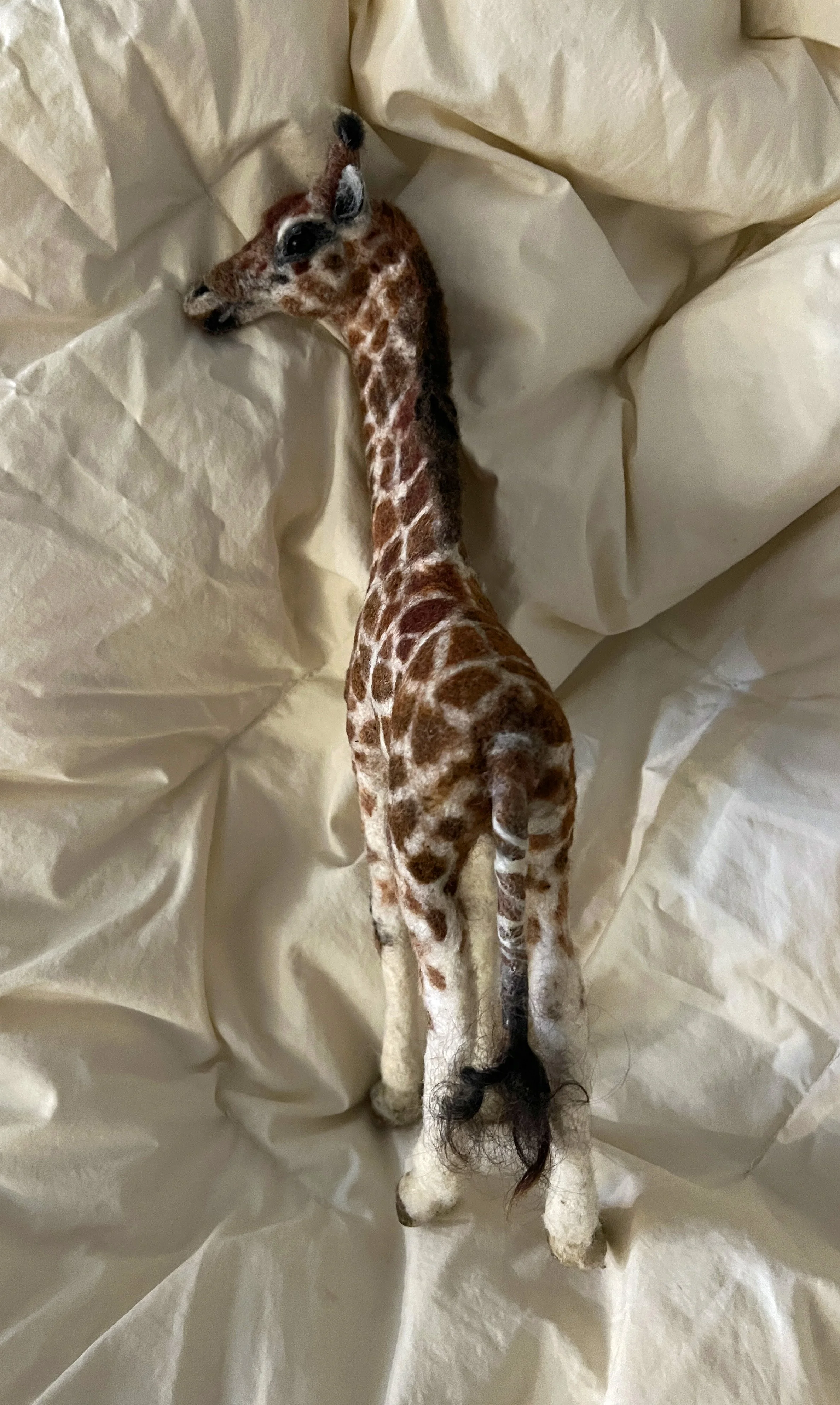 Kgiraffe 3d.jpg