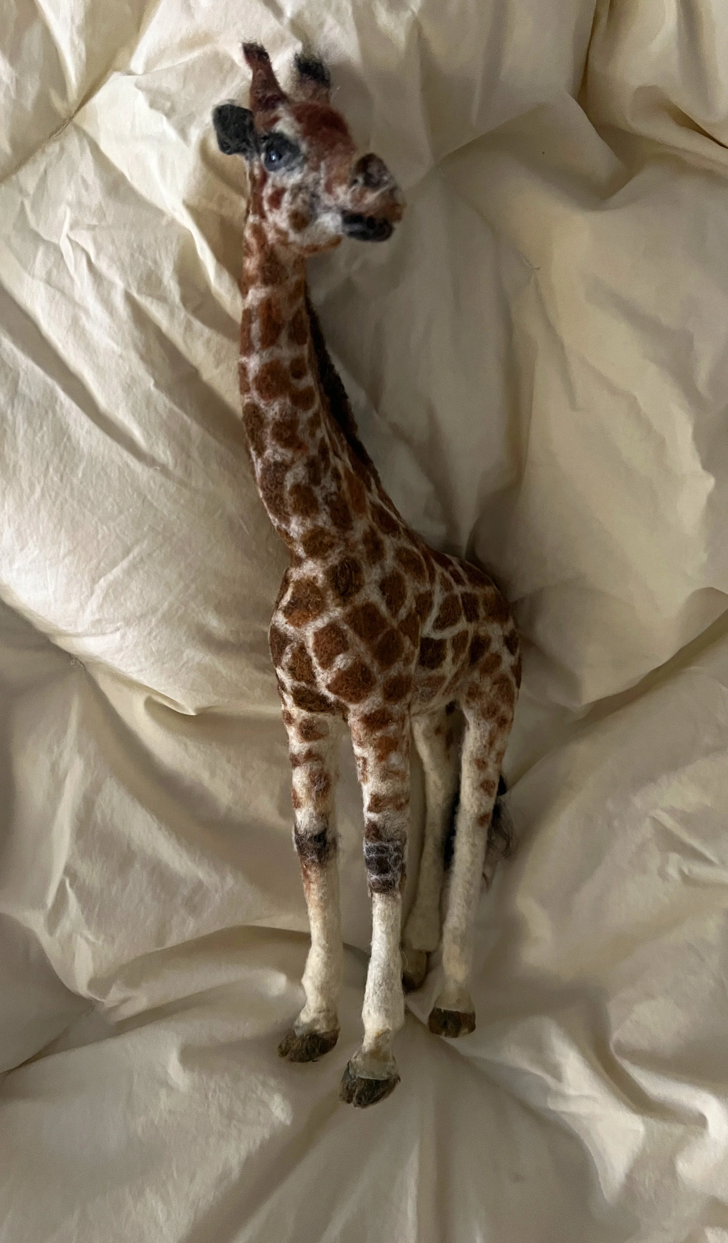 KGiraffe front.jpg