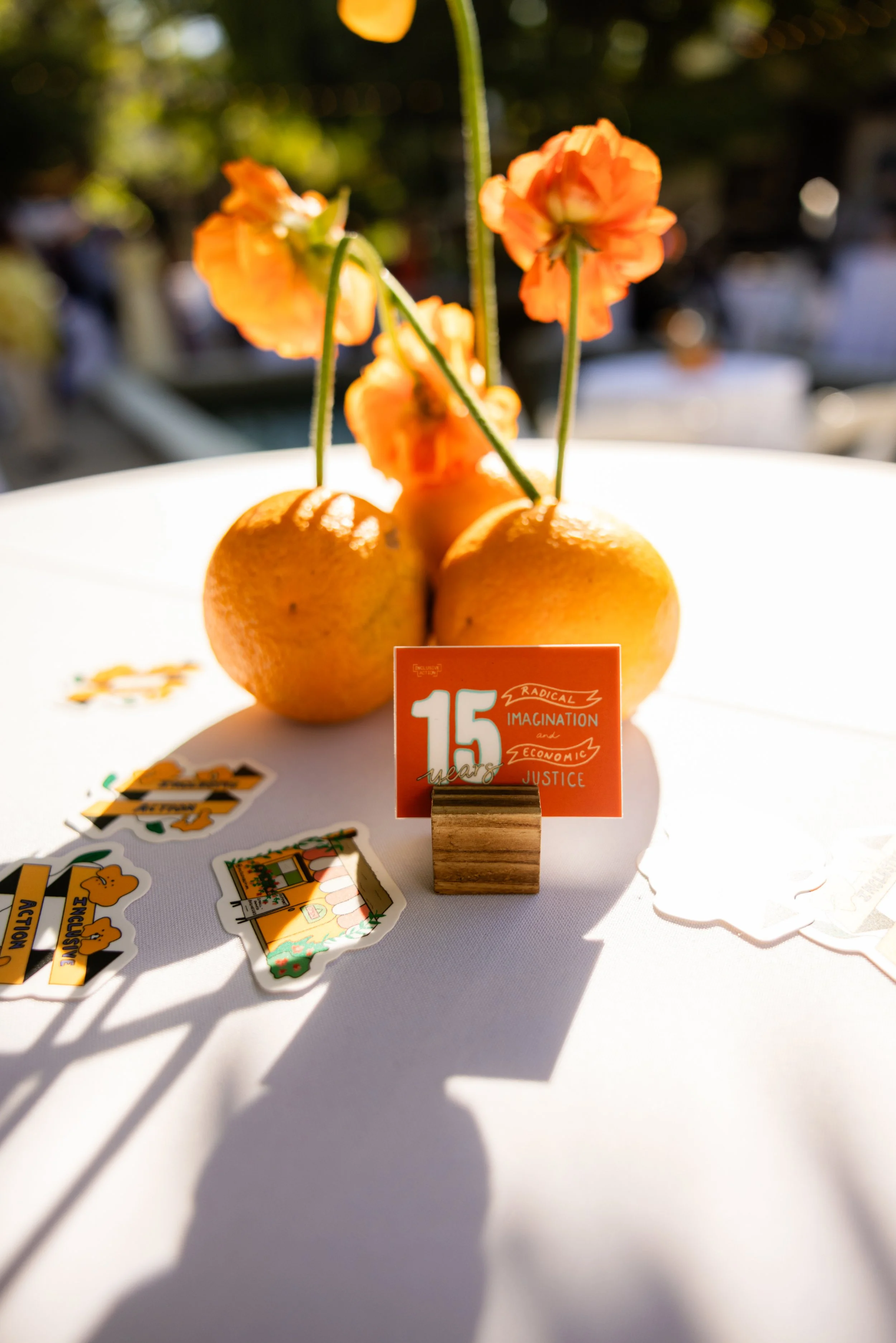 Inclusive Action’s 15th Anniversary
