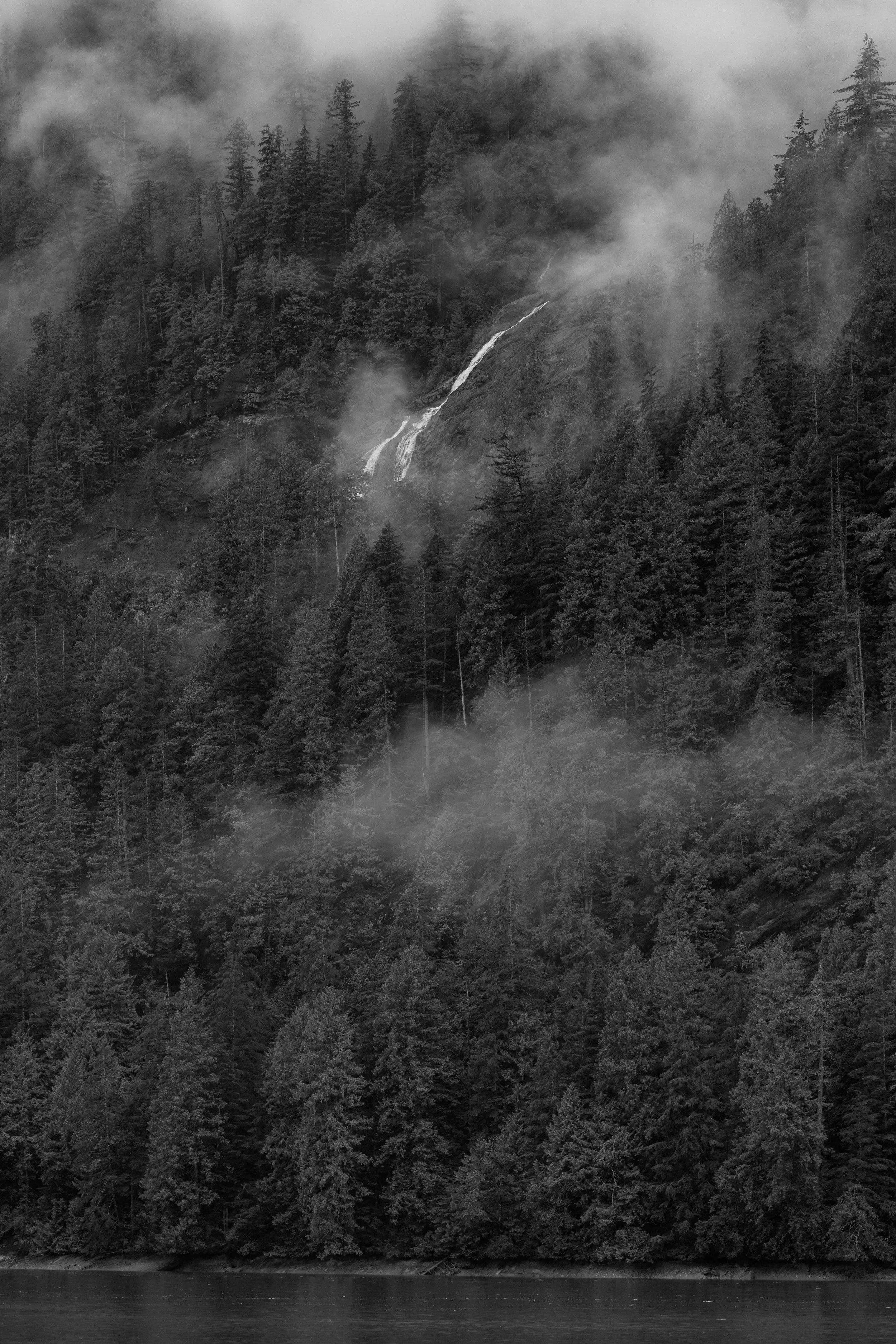 A black and white photo of a dense forest on a mountain slope with a small waterfall flowing down beneath fog or low clouds at the top of the mountain at Chatterbox Falls in Princess Louisa Inlet.