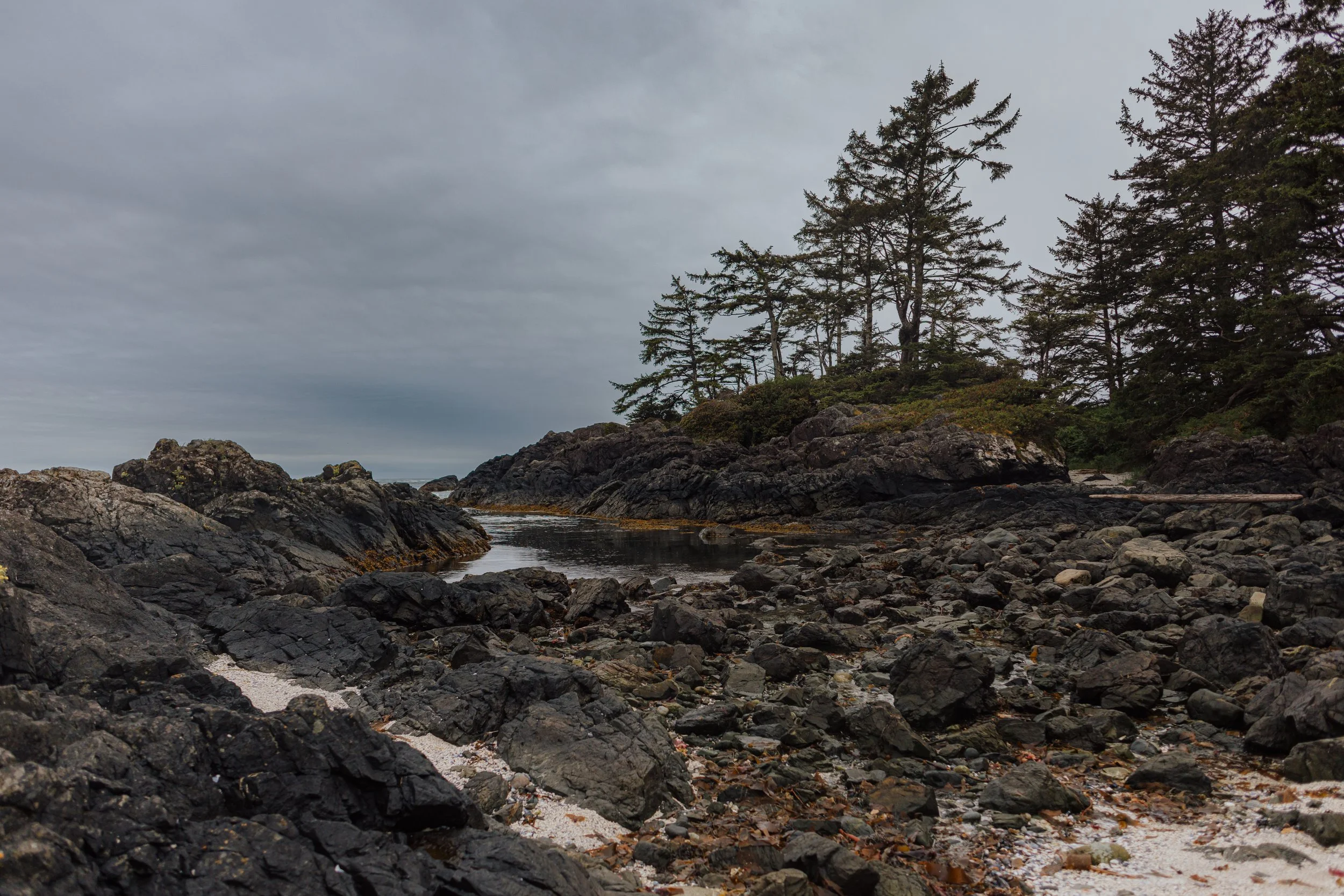 Tofino Helicopter Elopement, Tofino Wedding Photographer, Jen & Brian, 1571.JPG