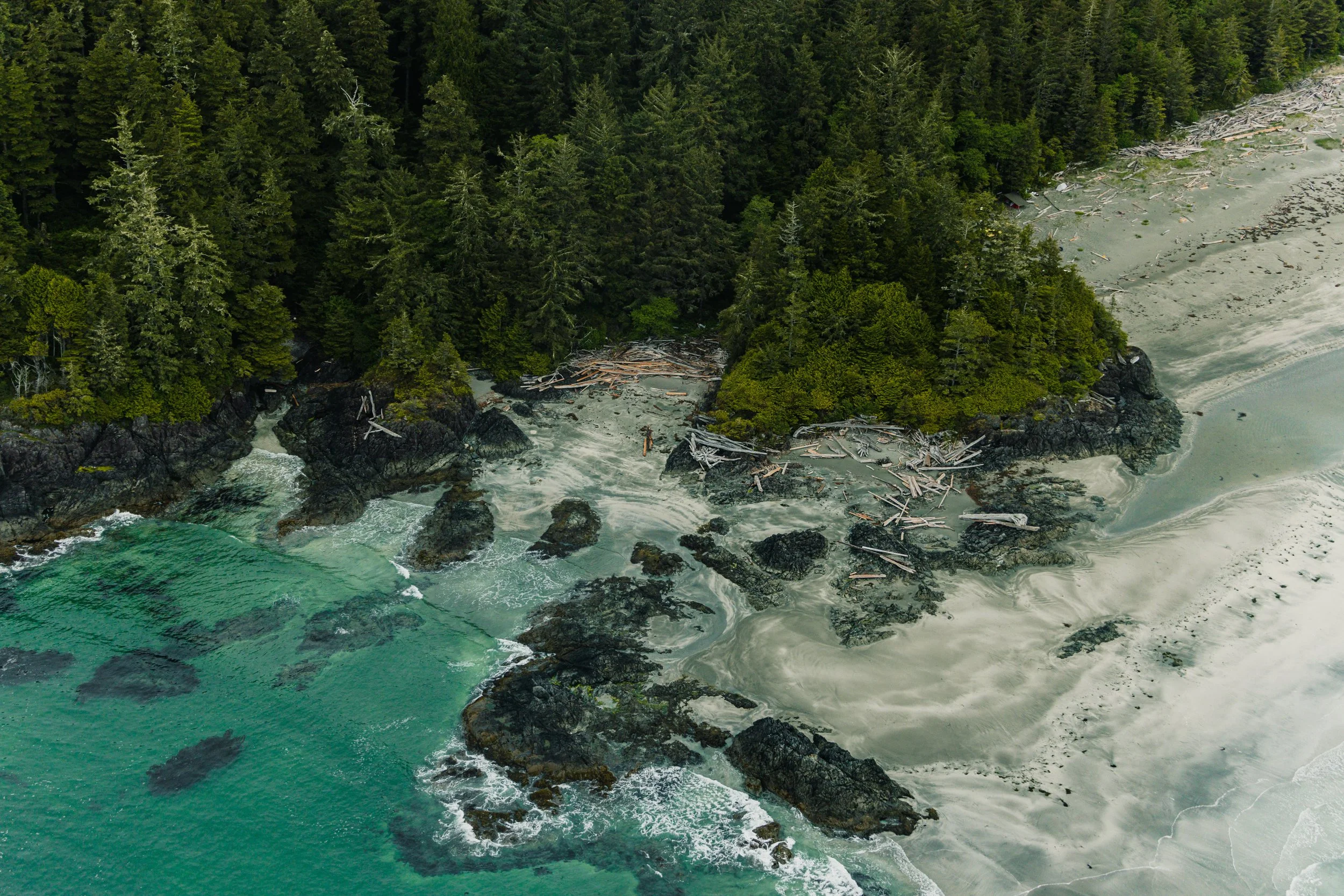 Tofino helcopter elopement, Tofino Wedding Photographer, 012.JPG