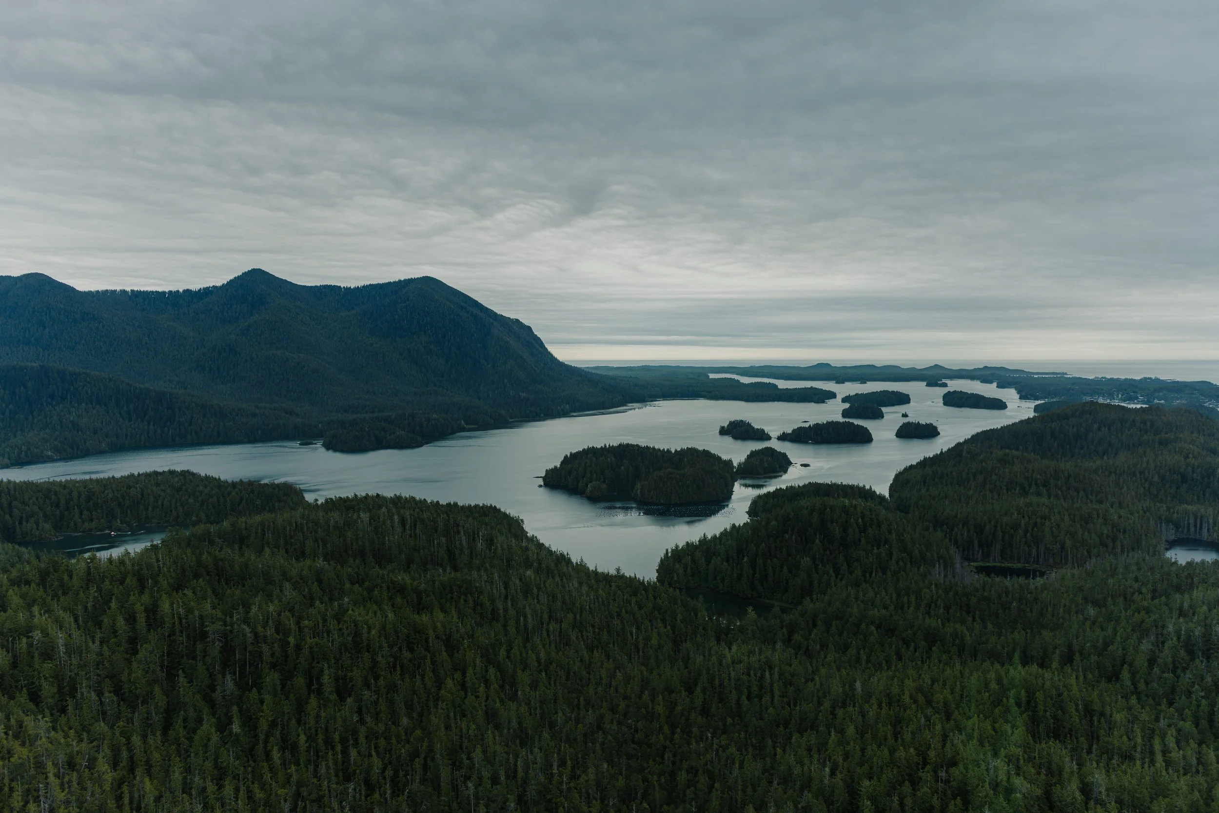Tofino Helicopter Elopement, Tofino Wedding Photographer, Jen & Brian, 1586.JPG