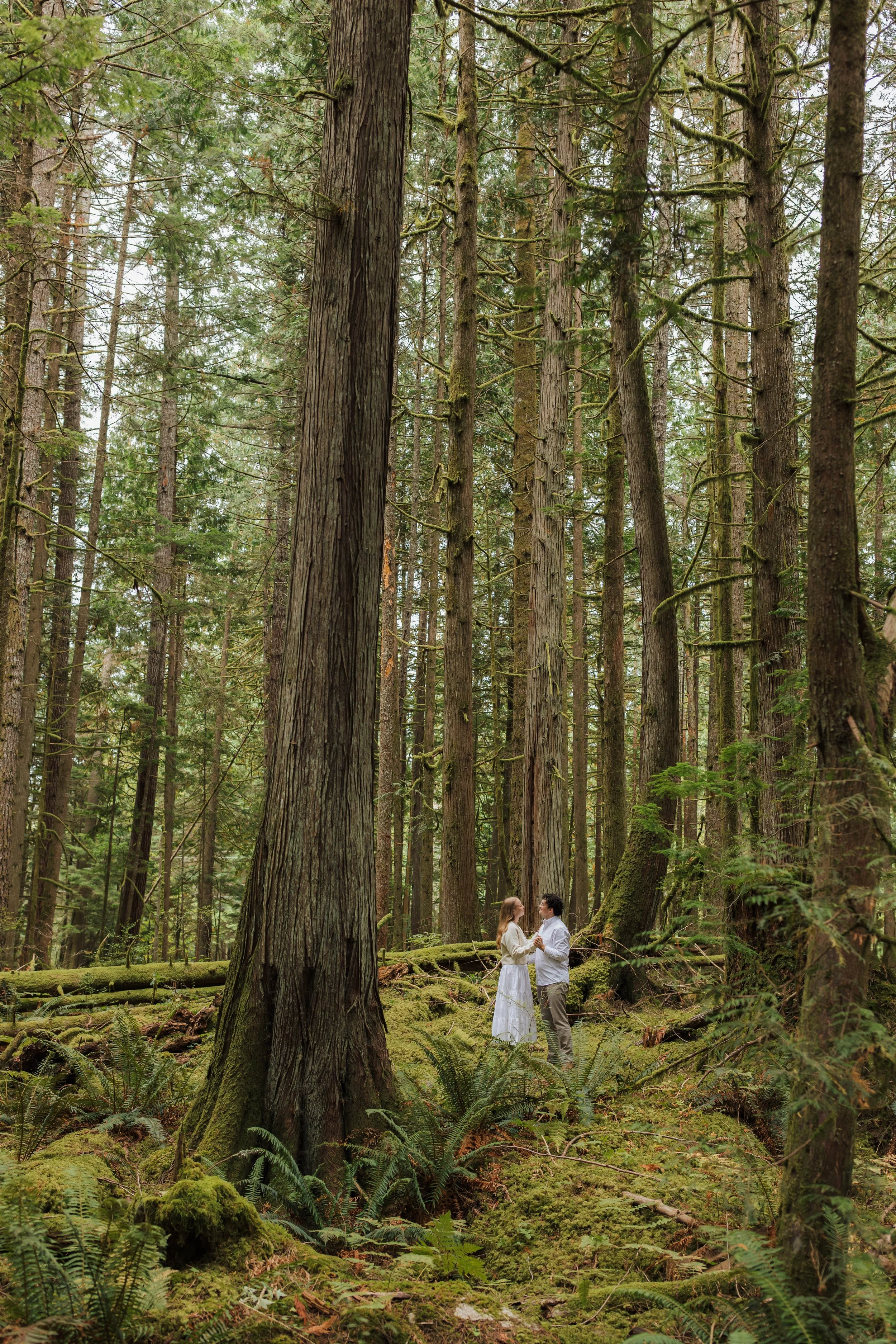 Sunshine Coast Engagement Photos in the Sechelt Inlet, Sunshine Coast Wedding Photographer, Jen & Brian 056.JPG