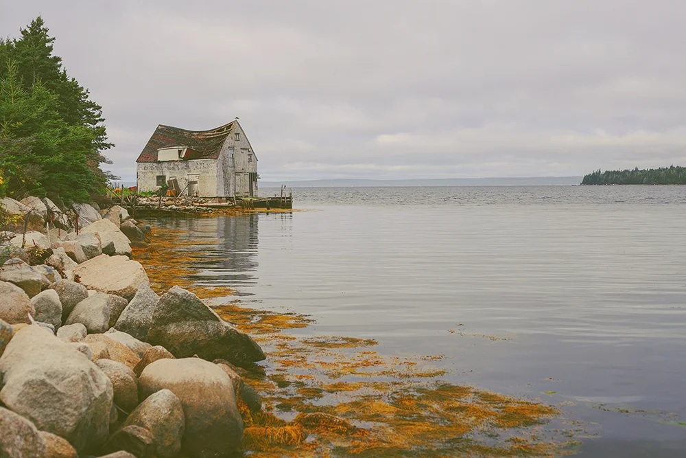 NOVA SCOTIA JENNIFER PICARD PHOTOGRAPHY BLOG WEB 3.jpg
