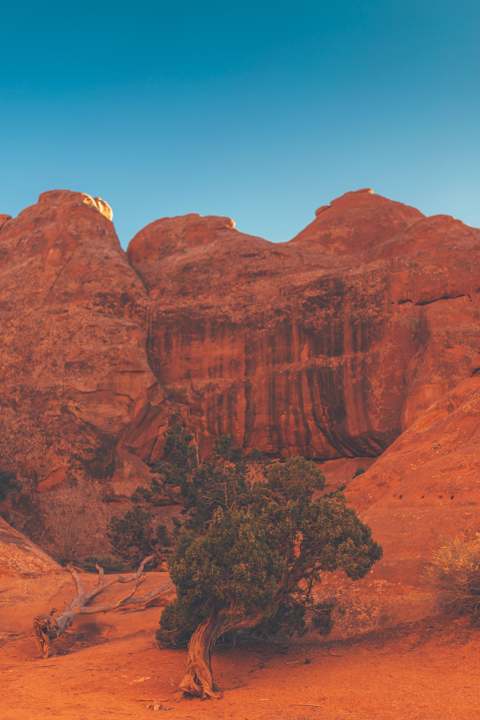IMG_9546-ARCHES-NATIONAL-PARK-JENNIFER-PICARD-PHOTOGRAPHY-WEB.jpg