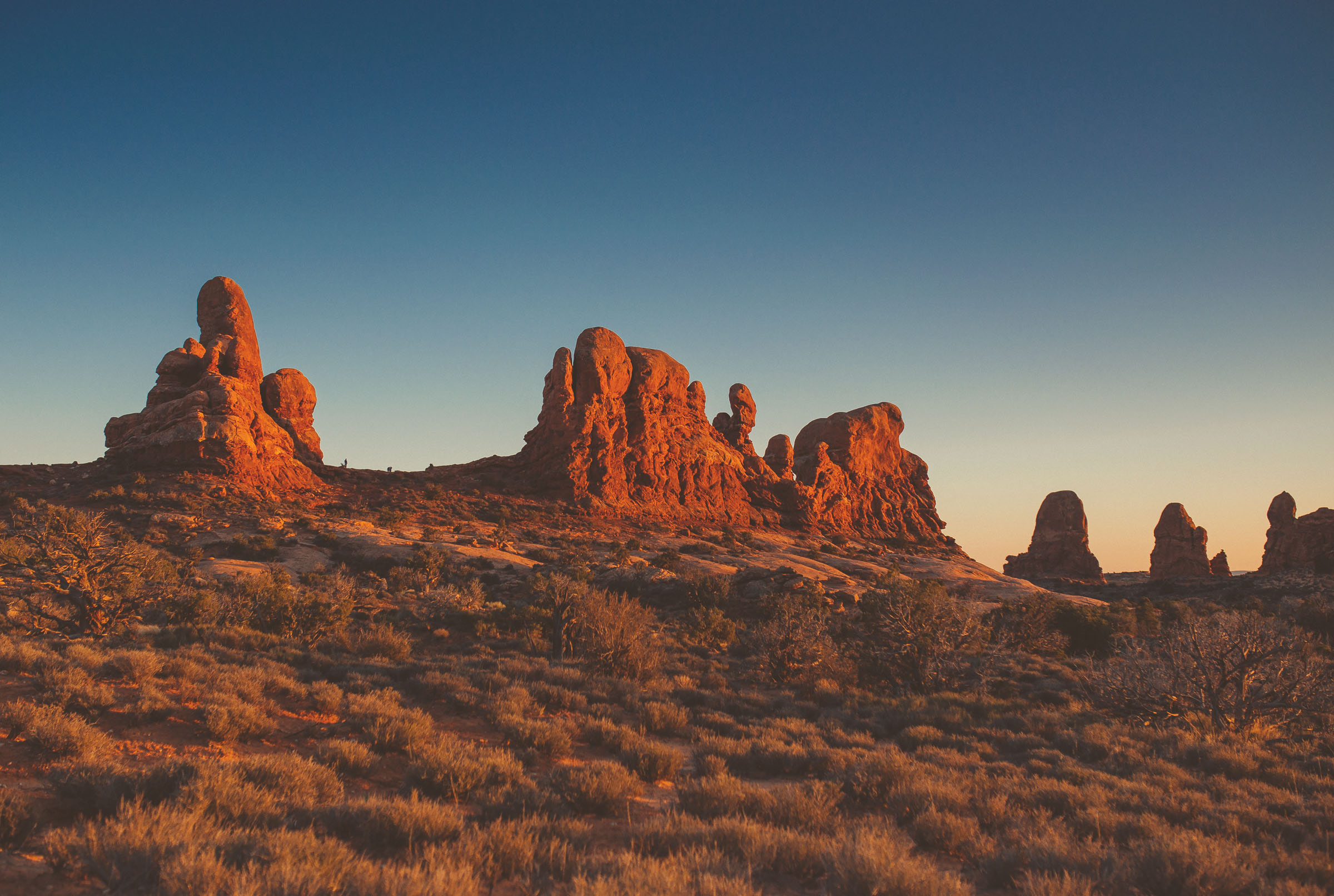 IMG_9591-ARCHES-NATIONAL-PARK-JENNIFER-PICARD-PHOTOGRAPHY-WEB.jpg