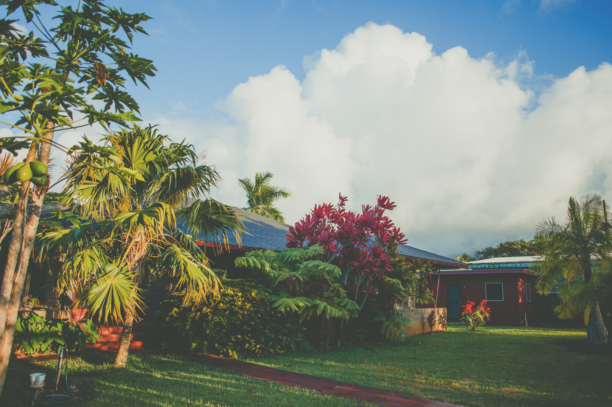 IMG_2252-KAUAI-HAWAII-JENNIFER-PICARD-PHOTOGRAPHY.jpg