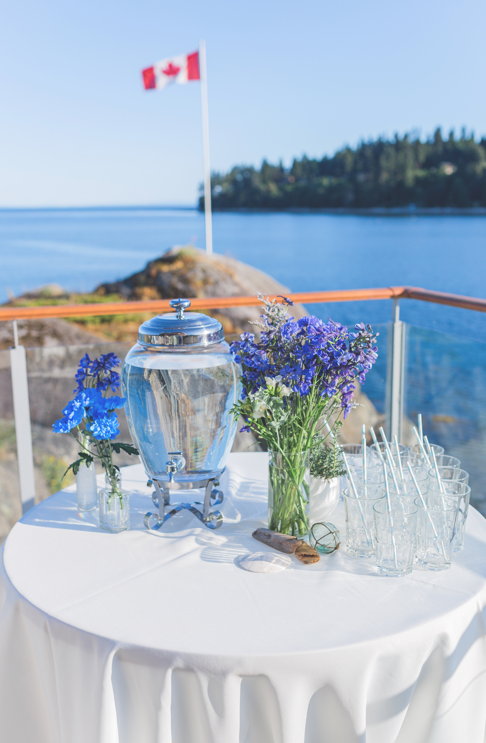 IMG_1117-SUNSHINE-COAST-BC-WEDDING-PHOTOGRAPHER-JENNIFER-PICARD-PHOTOGRAPHY.jpg