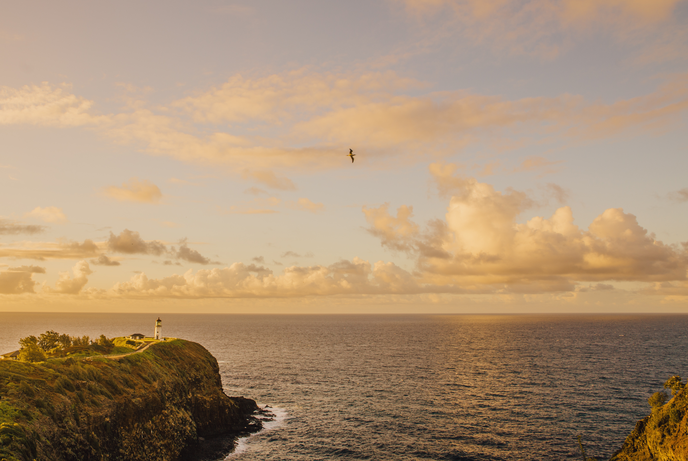 IMG_2260-WEB-KAUAI-HAWAII-SUNSET-JENNIFER-PICARD-PHOTOGRAPHY.jpg