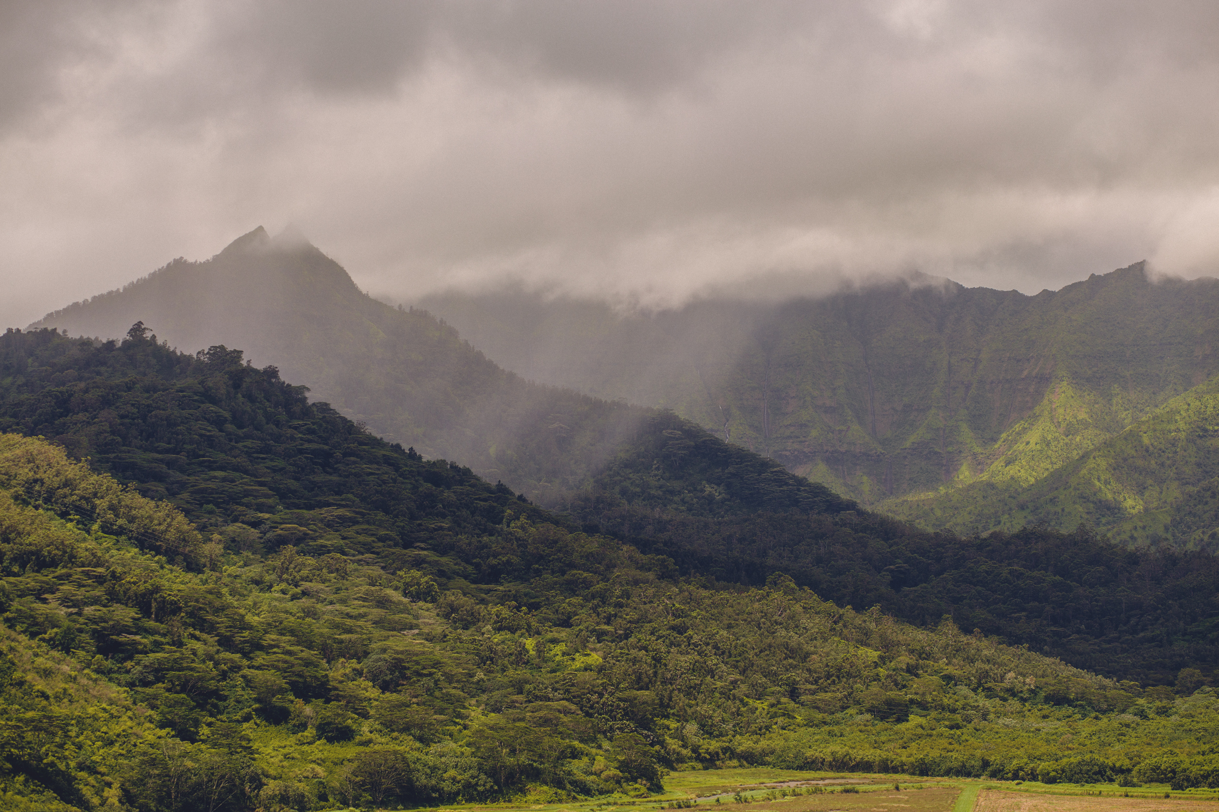 IMG_2421-KAUAI-HAWAII-JENNIFER-PICARD-PHOTOGRAPHY.jpg