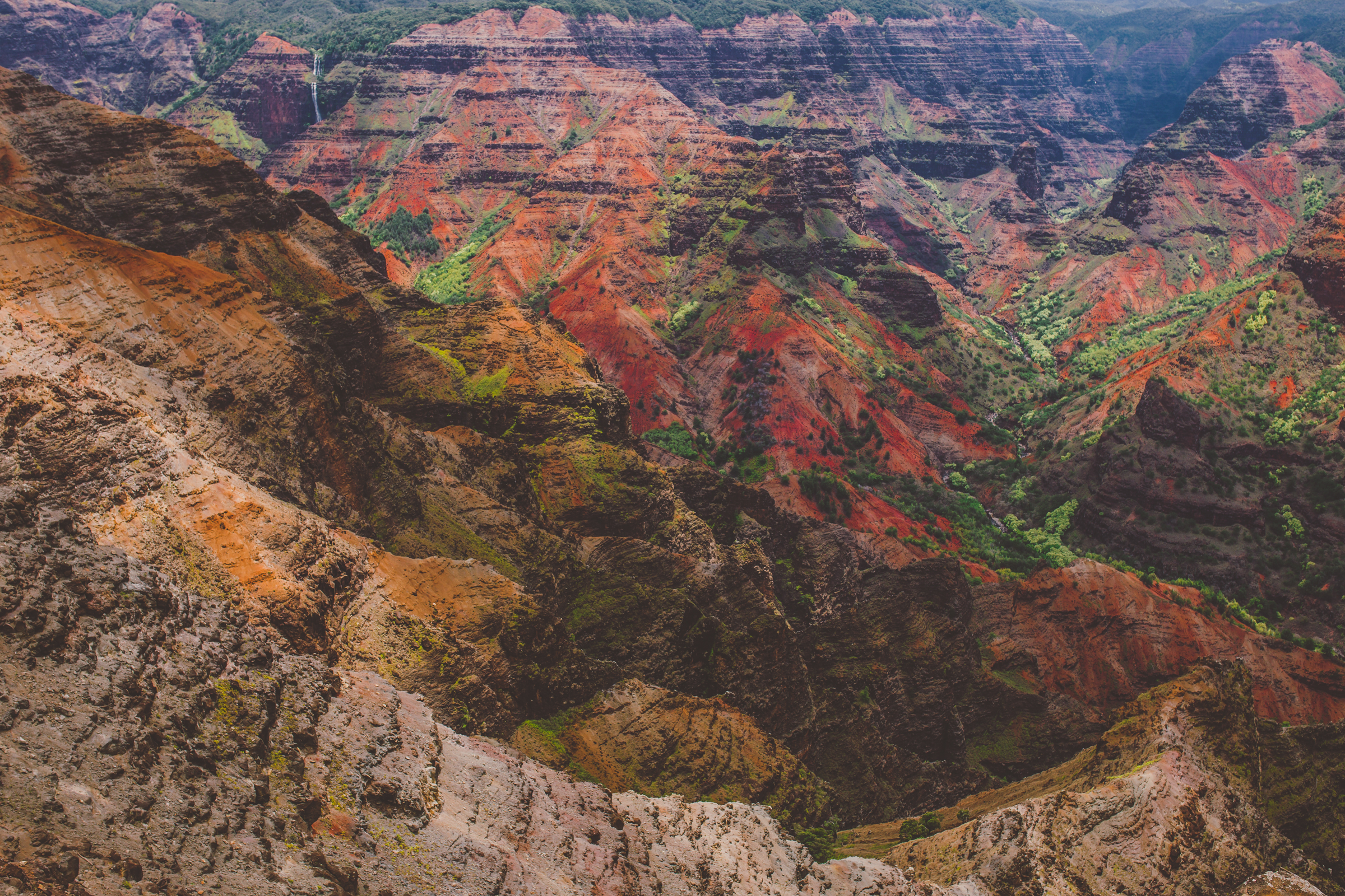 IMG_2670--KAUAI-HAWAII-JENNIFER-PICARD-PHOTOGRAPHY.jpg
