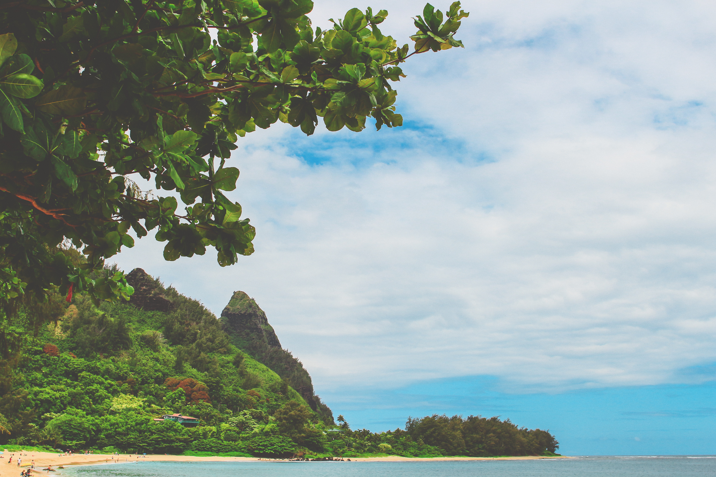 IMG_0170--KAUAI-HAWAII-JENNIFER-PICARD-PHOTOGRAPHY.jpg