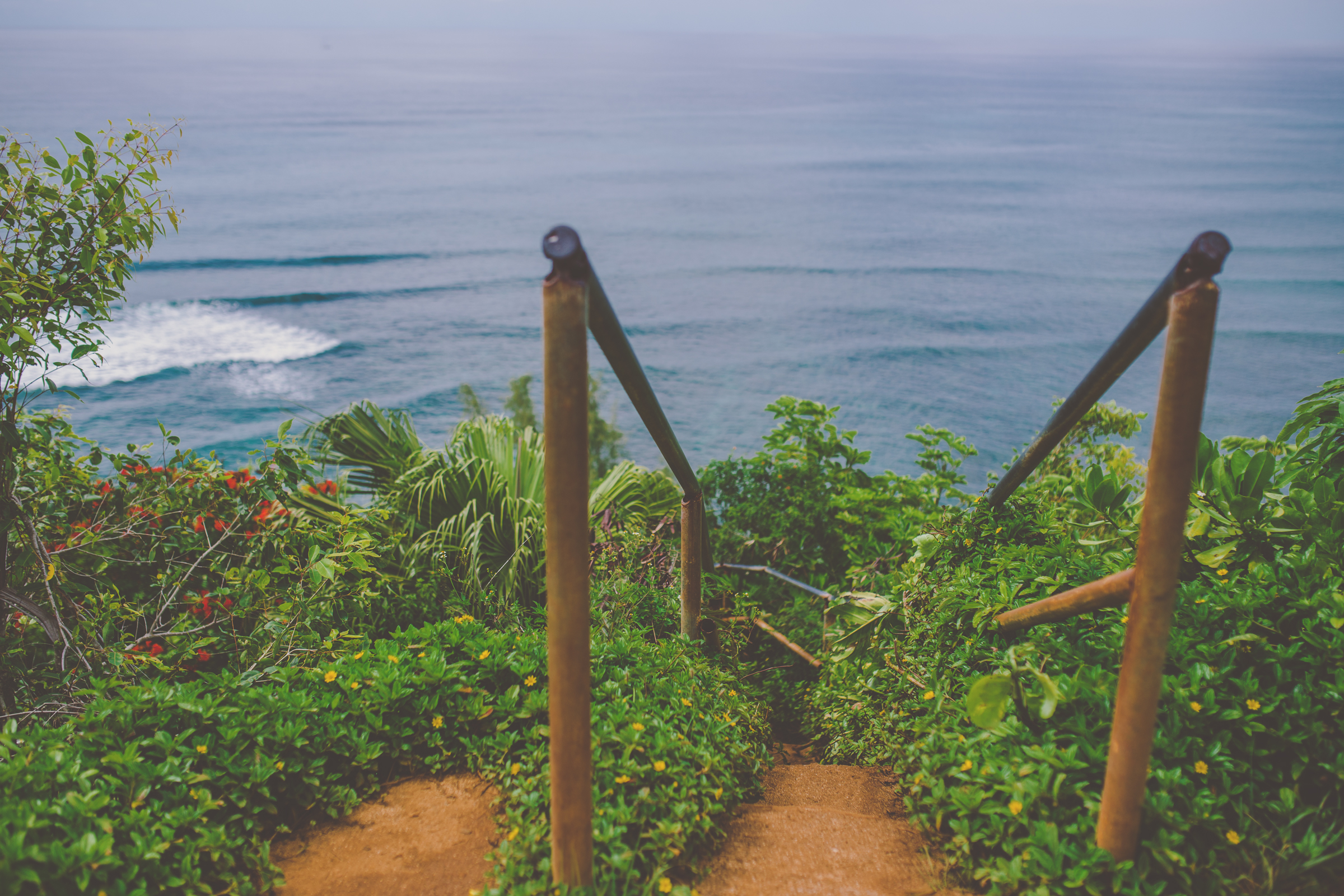 IMG_3341--KAUAI-HAWAII-JENNIFER-PICARD-PHOTOGRAPHY.jpg