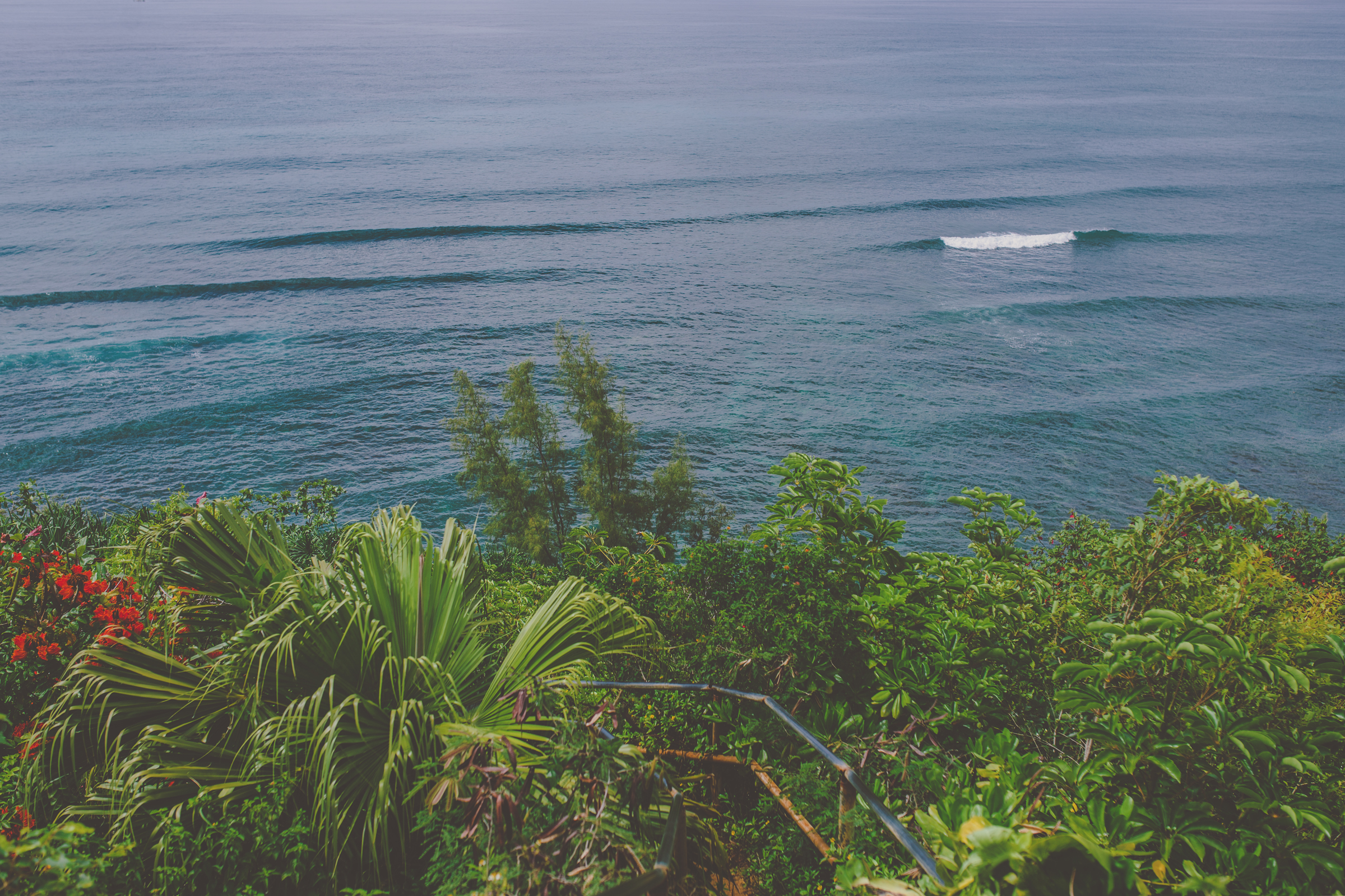 IMG_3351--KAUAI-HAWAII-JENNIFER-PICARD-PHOTOGRAPHY.jpg