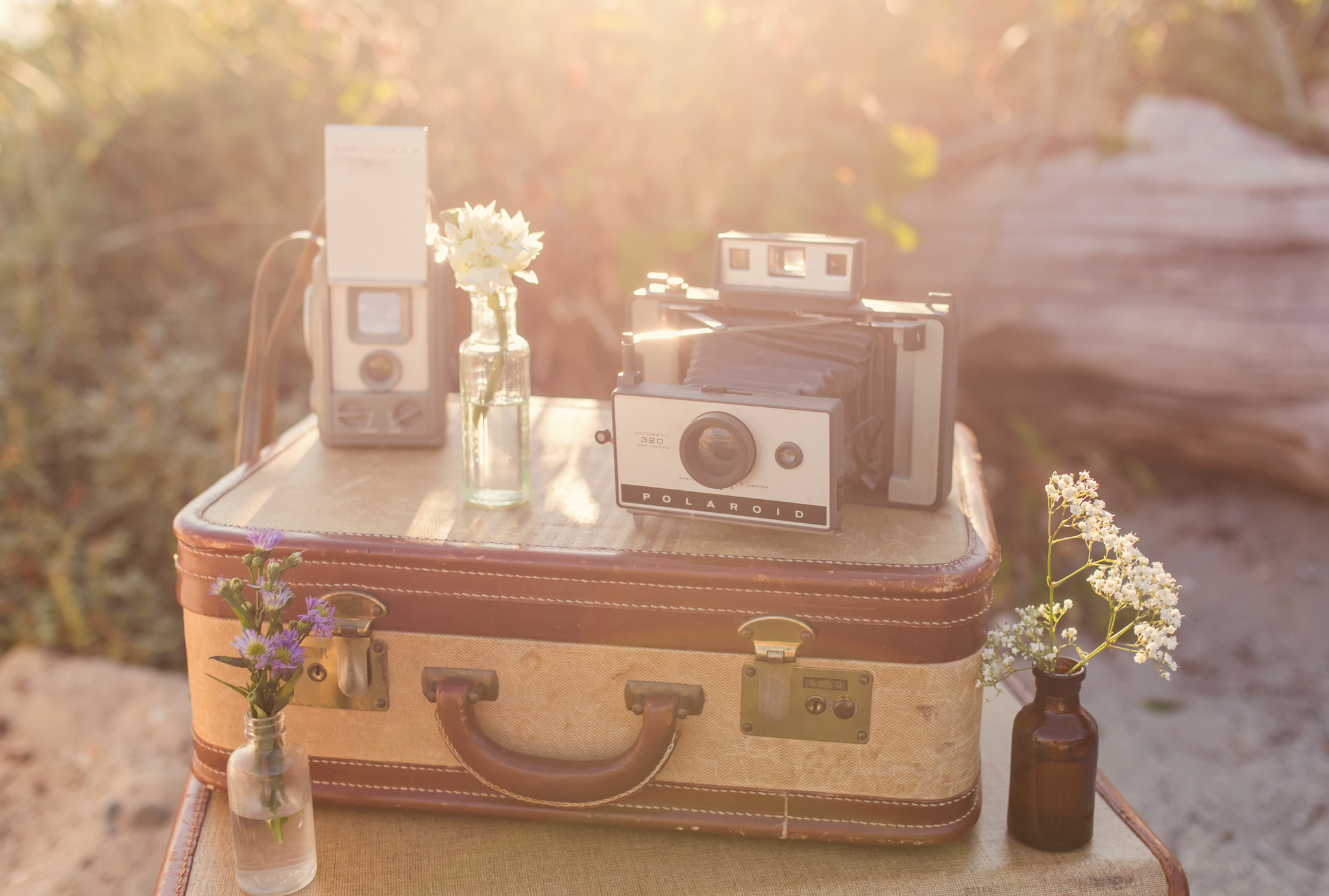 IMG_8043-WEB-SUNSHINE-COAST-WEDDING-PHOTOGRAPHER-JENNIFER-PICARD-PHOTOGRAPHY.jpg