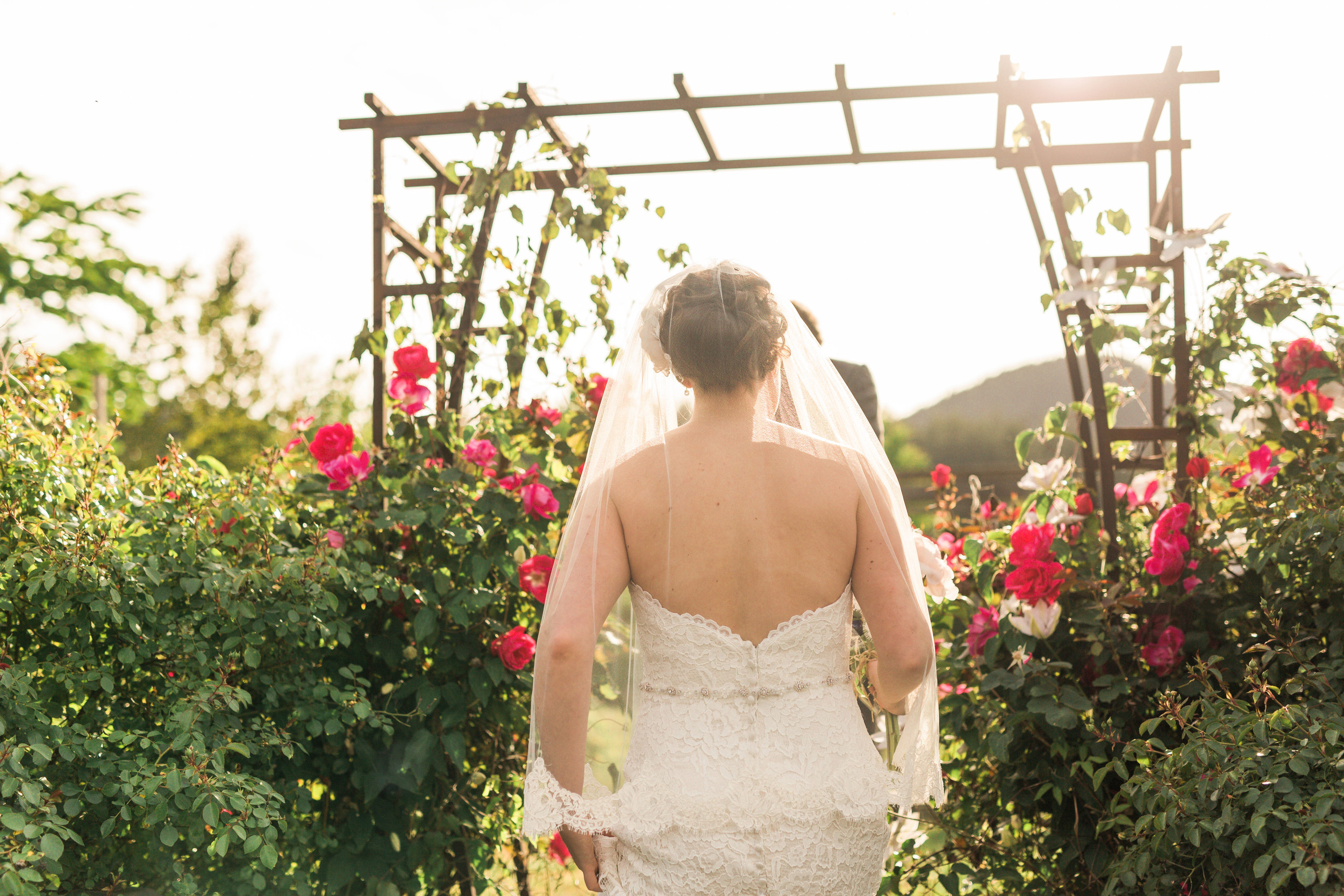 SunshineCoast-BC-Wedding-Photographer112.jpg