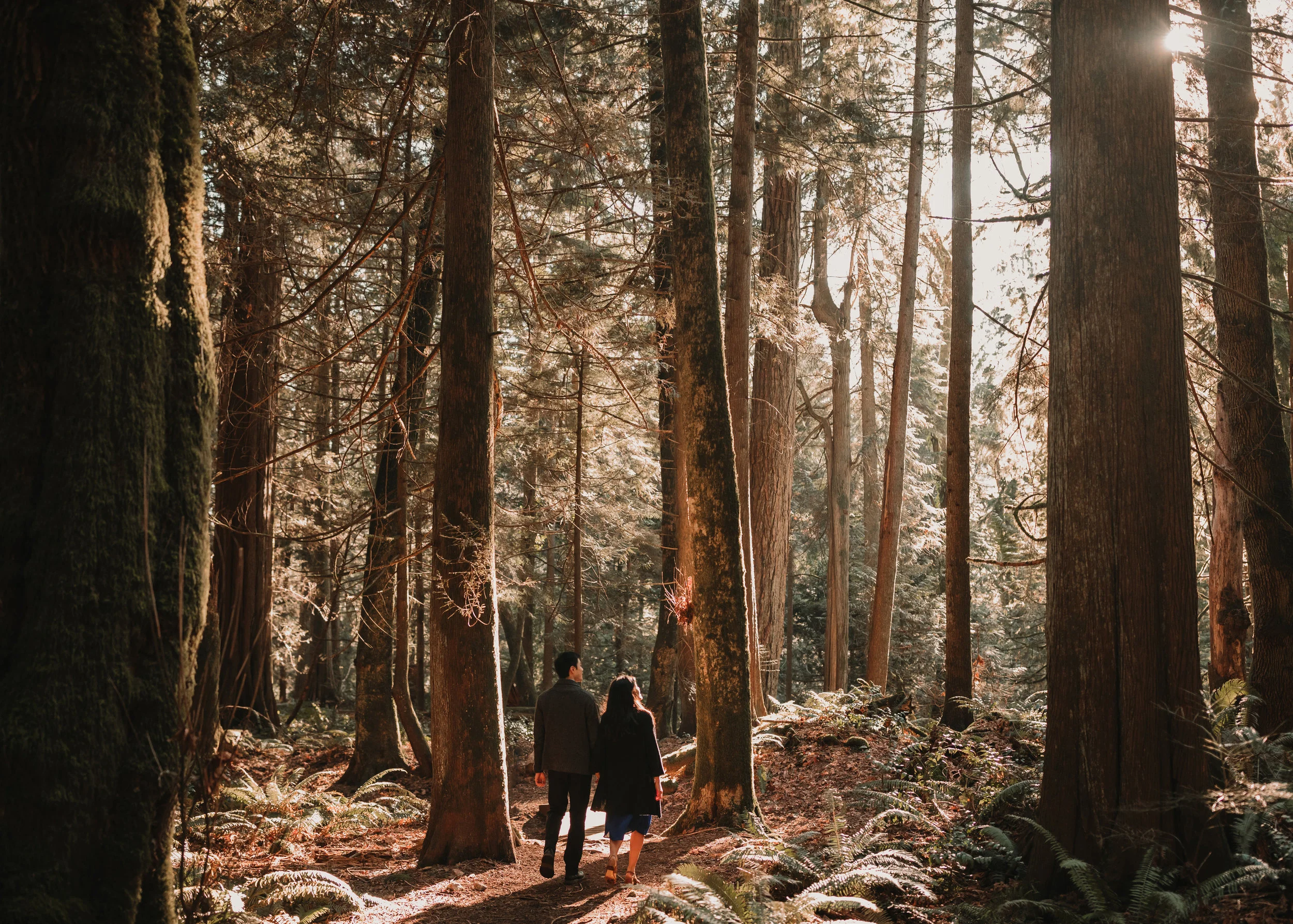 Sunshine Coast Beach Engagement Photos — Jennifer Picard Photography — Vancouver Wedding Photographer & Videographer — 451.JPG