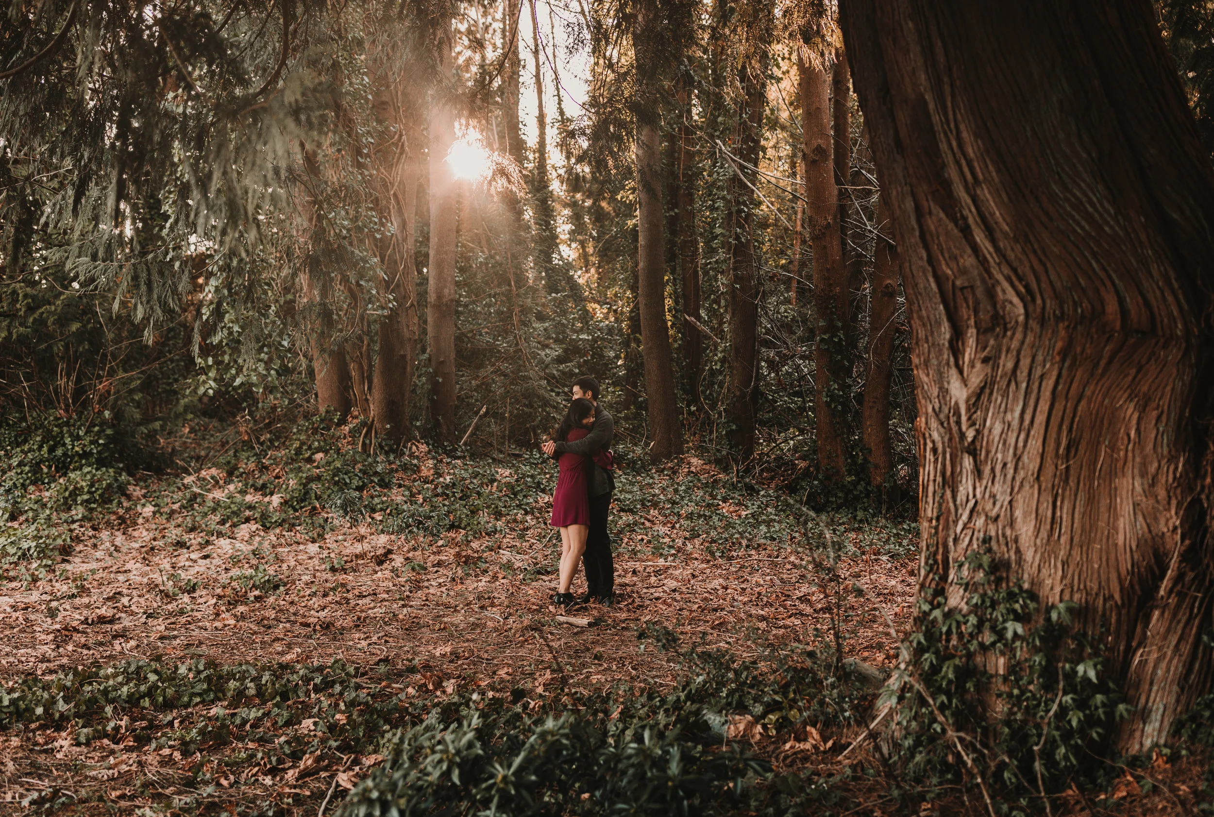 Sunshine Coast Forest Engagement Photos — Jennifer Picard Photography — Vancouver Wedding Photographer & Videographer — 440.JPG