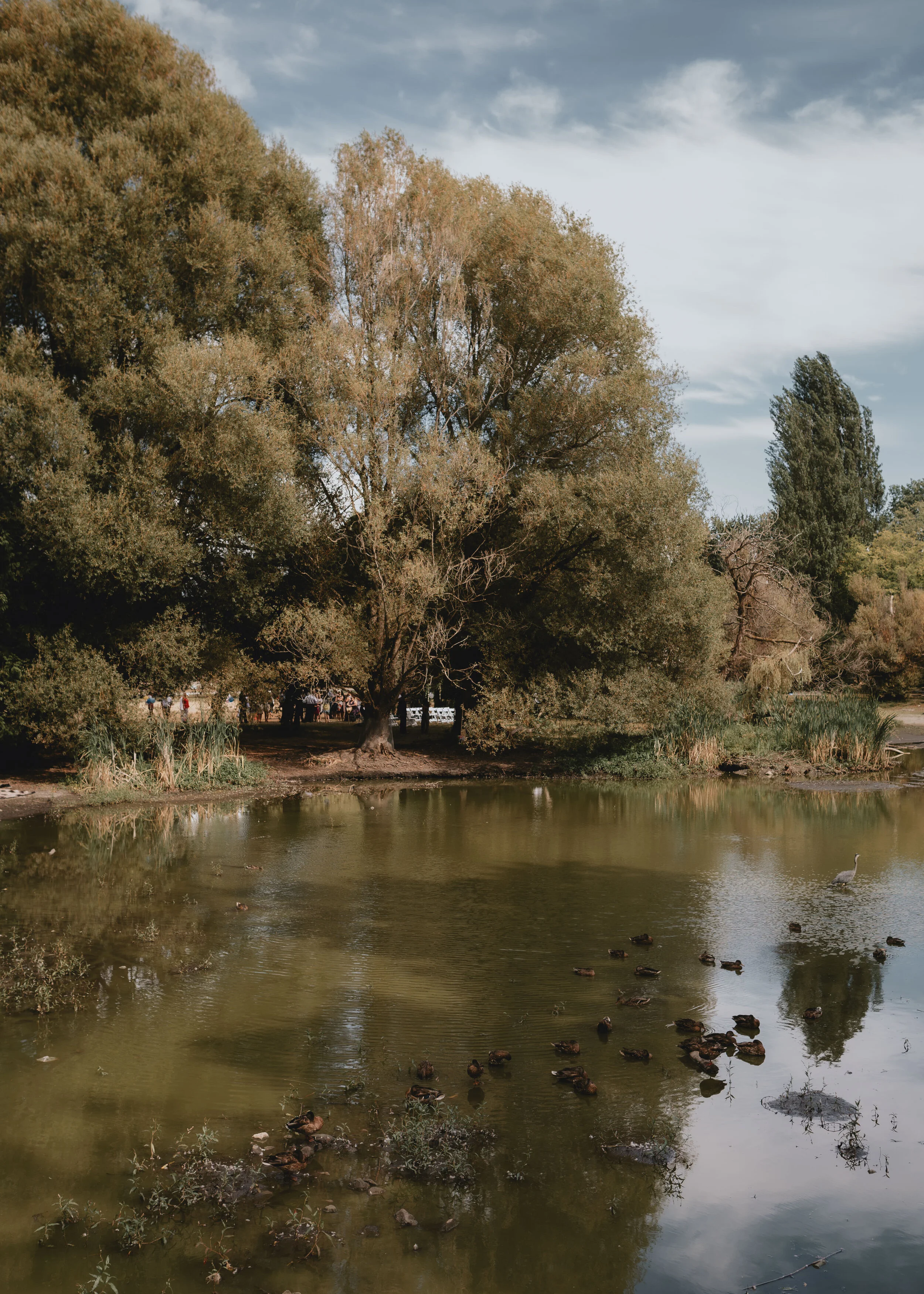  Jericho Beach and Nuba Restaurant Wedding Photos — Vancouver Elopement Photographer and Videographer 