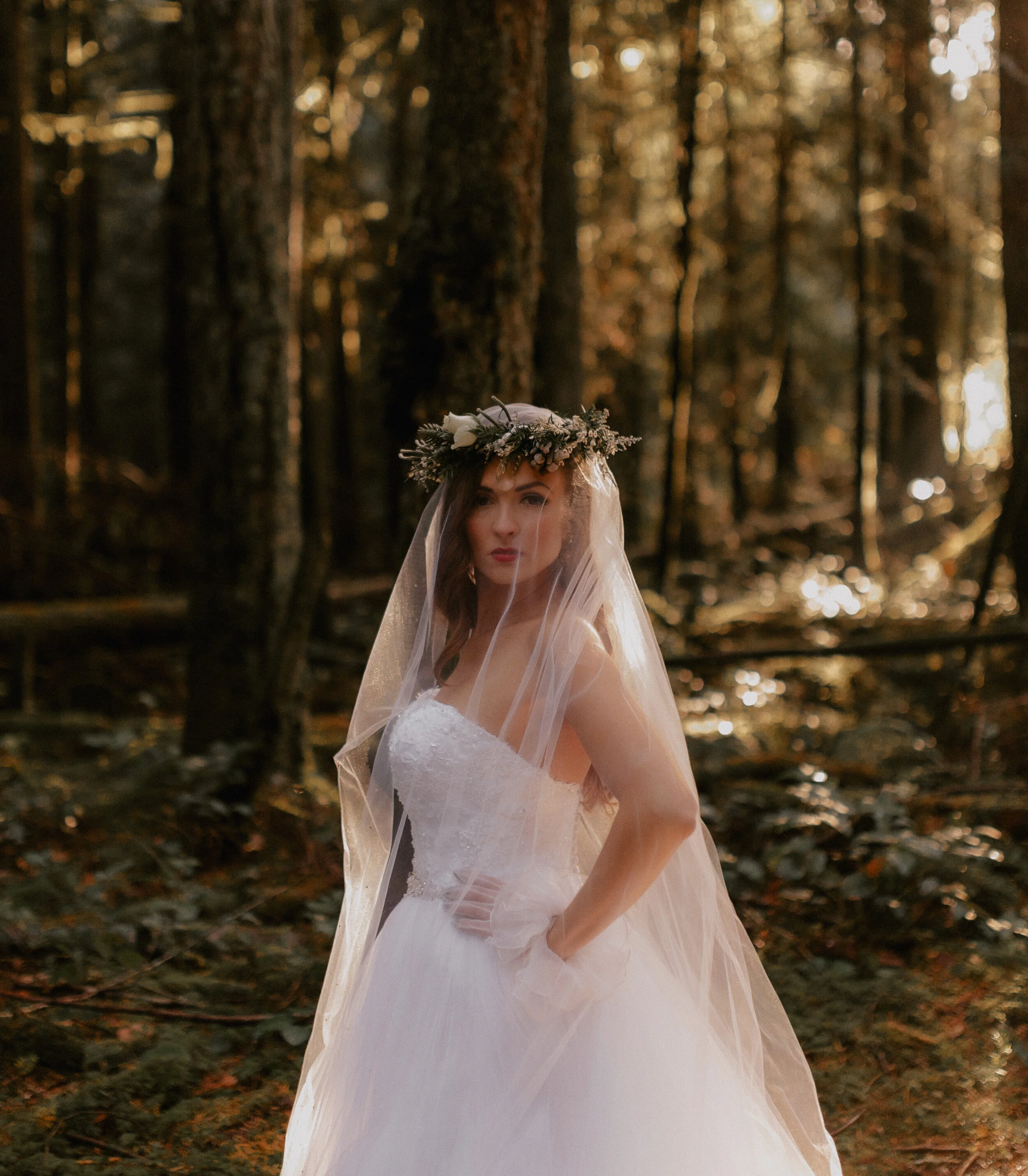  Magical Forest Wedding Photos on the Sunshine Coast - Vancouver Wedding Photographer and Videographer 