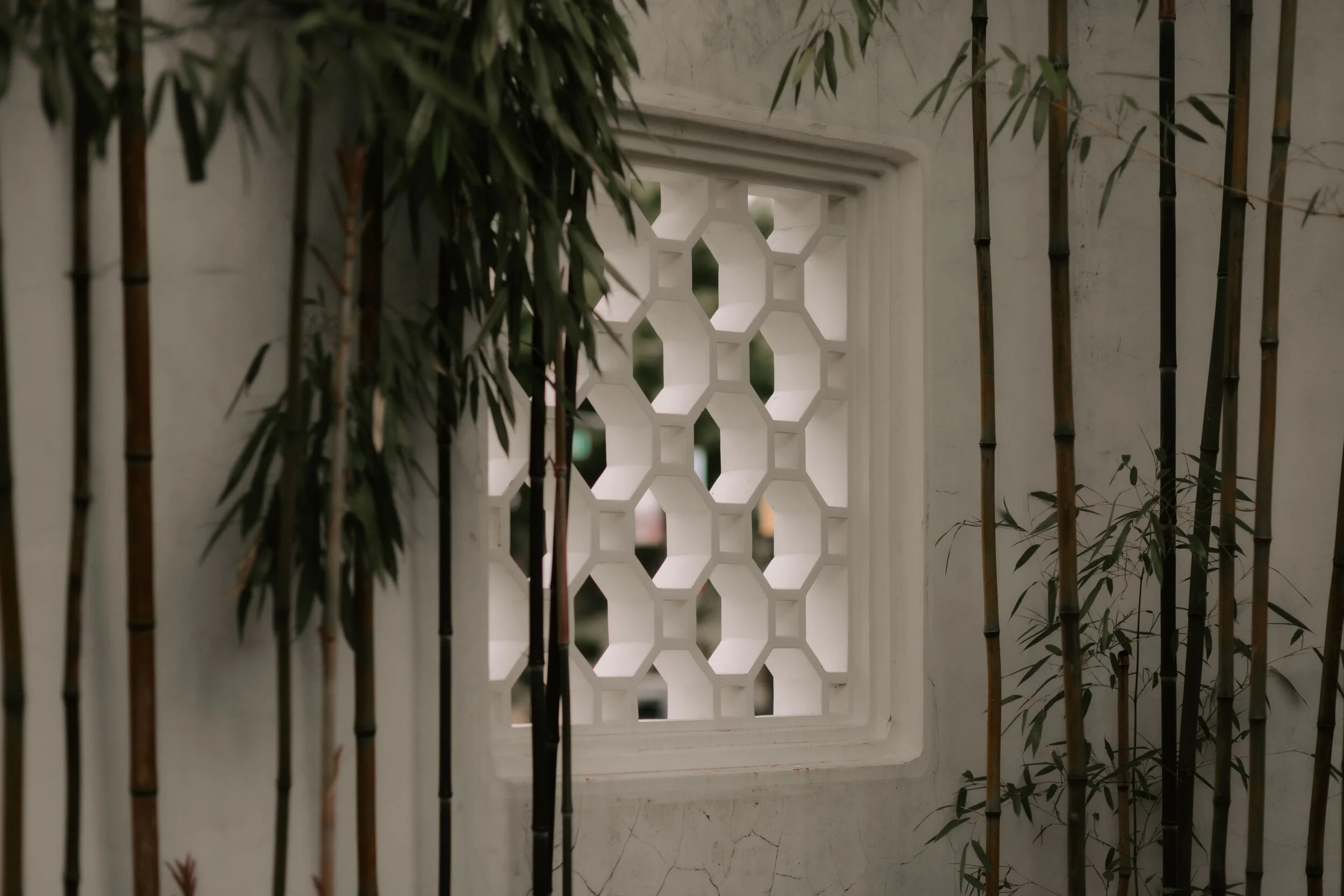  Dr. Sun Yat-Sen Chinese Classical Garden Wedding Photos - Vancouver Wedding Photographer and Videographer 