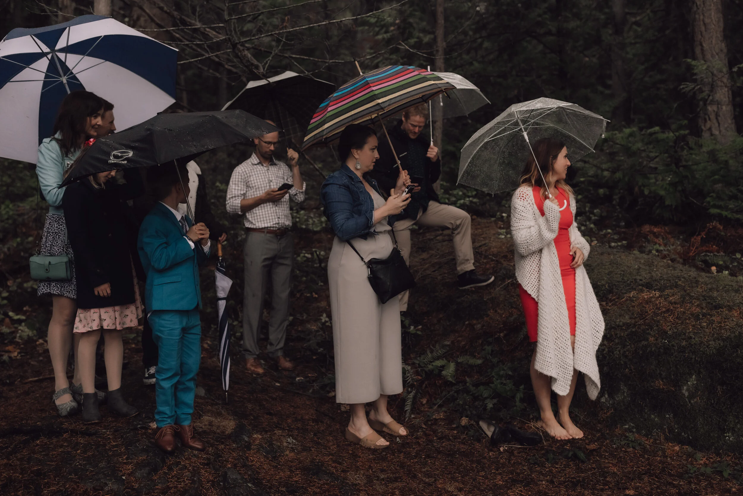  Forest Elopement Photos at Francis Point Provincial Park on the Sunshine Coast, BC  