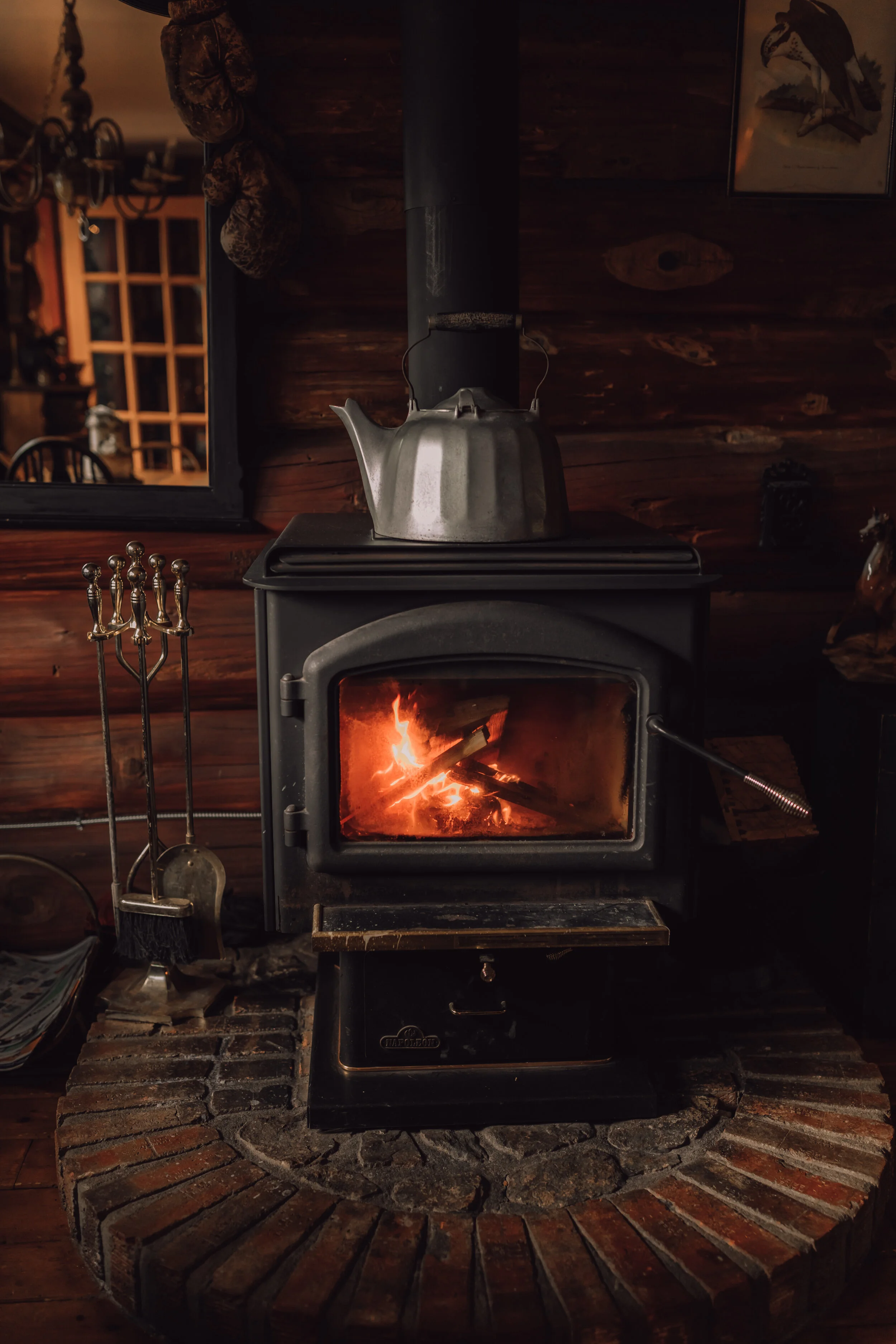  Intimate Forest and Beach Elopement on the Sunshine Coast, BC 
