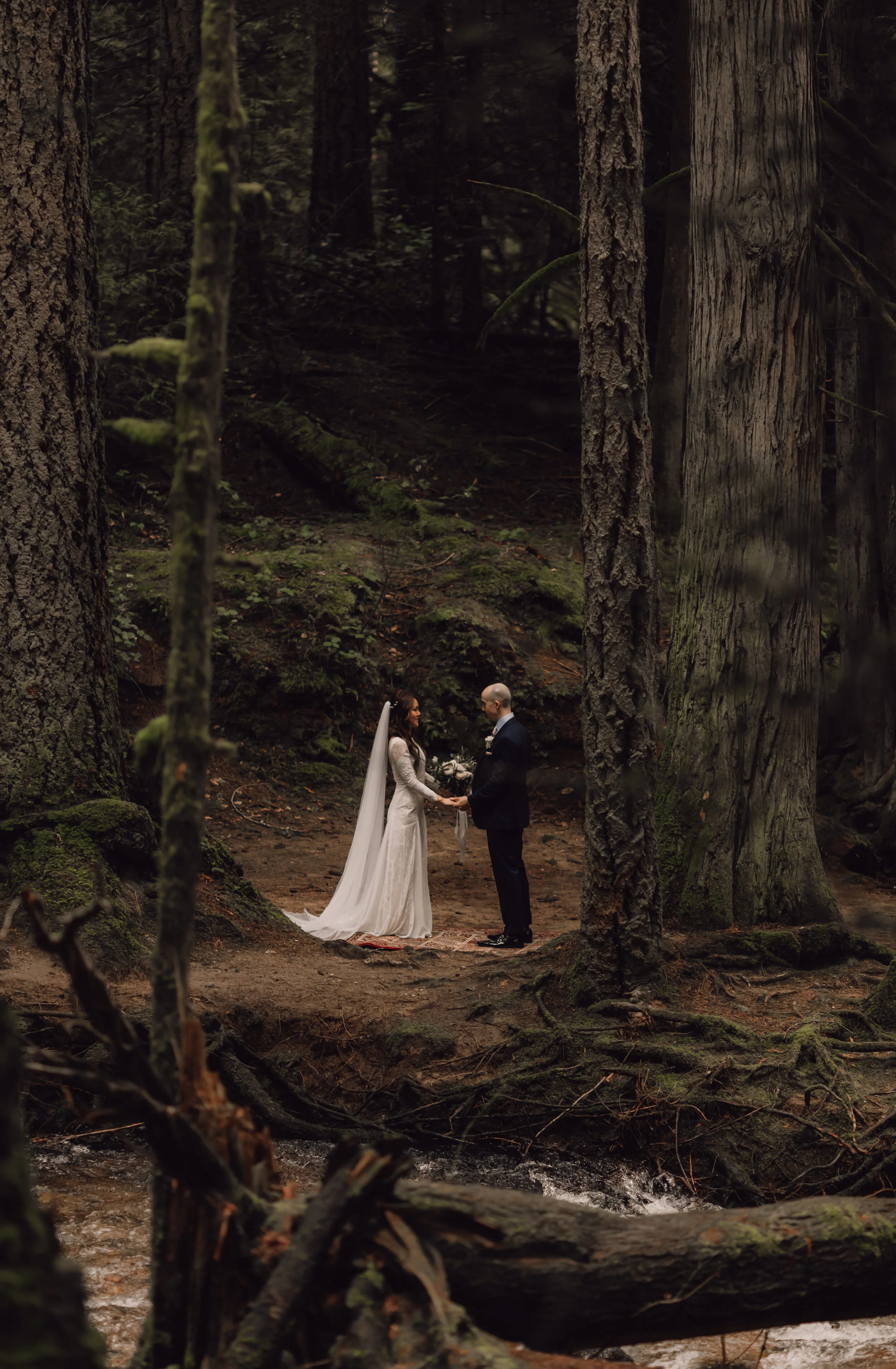  Intimate Forest and Beach Elopement on the Sunshine Coast, BC 