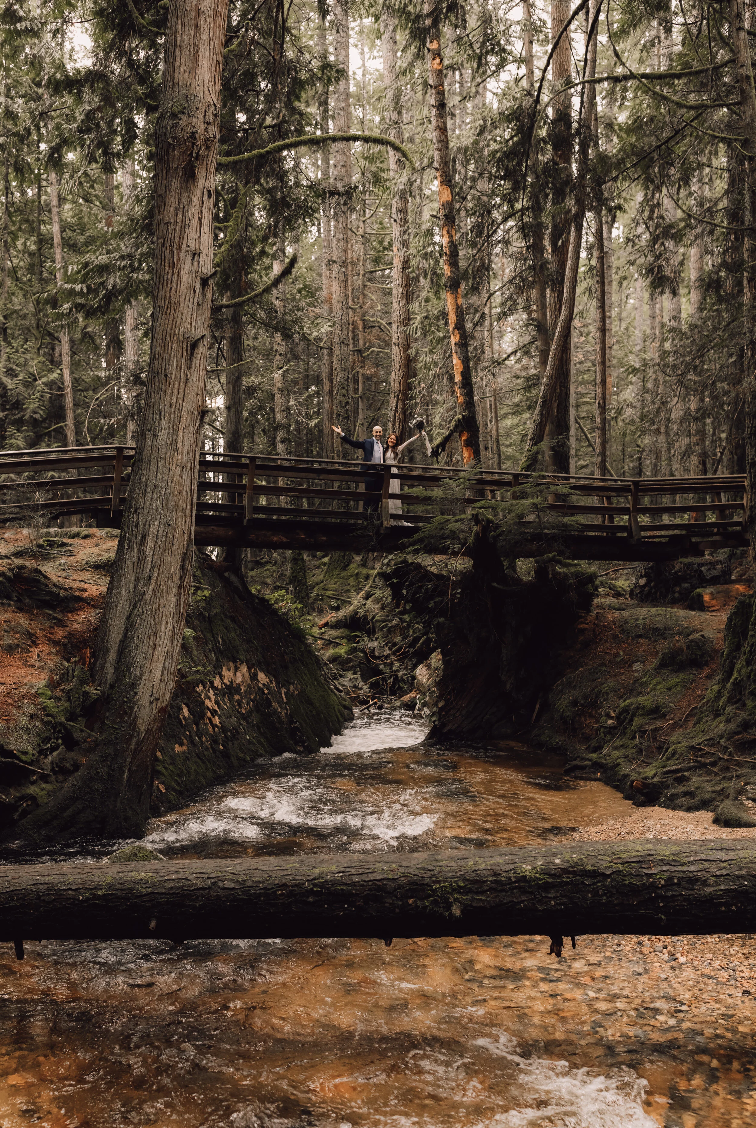  Intimate Forest and Beach Elopement on the Sunshine Coast, BC 