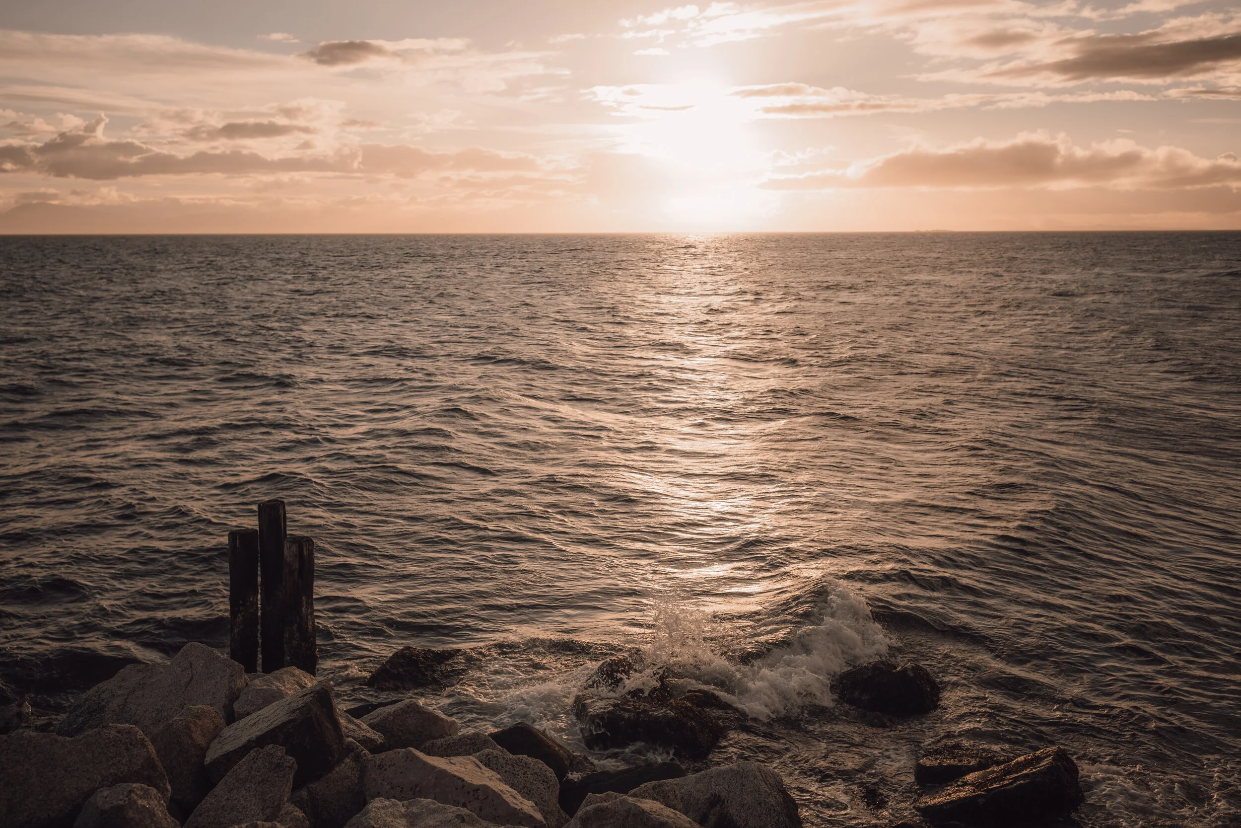  Intimate Forest and Beach Elopement on the Sunshine Coast, BC 