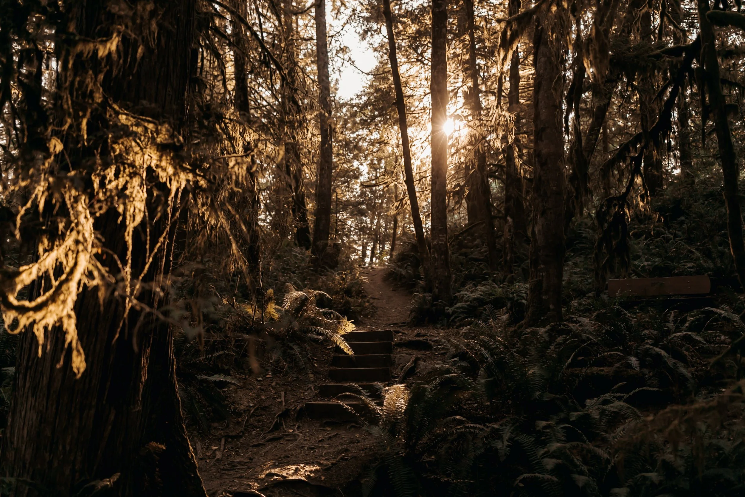  Emma and CodyÕs Sunshine Coast Elopement. Ceremony in Cliff Gilker Park in Roberts Creek and Golden Hour Photos at Roberts Creek Pier 
