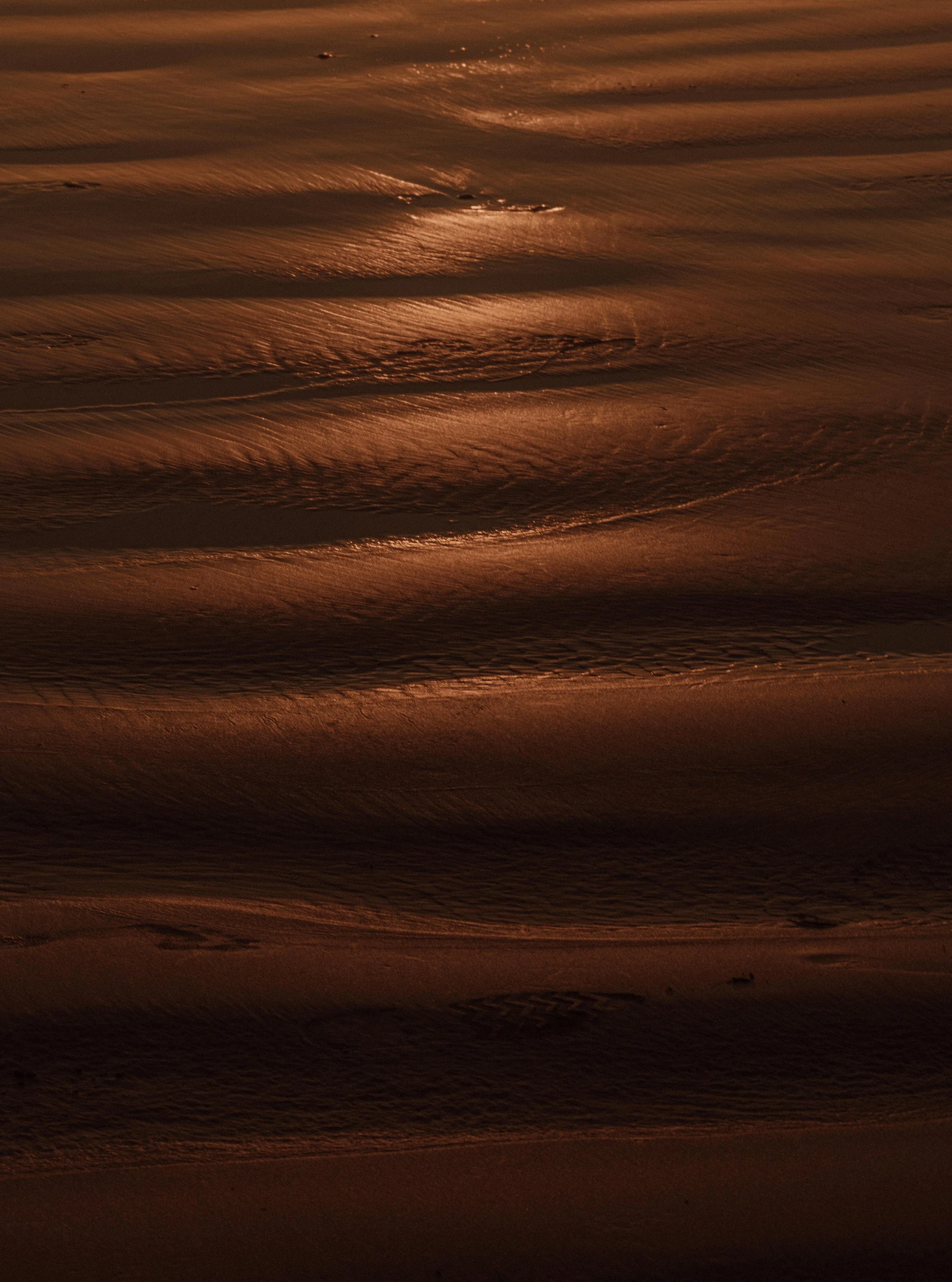  Tofino Elopement Photographer & Videographer 