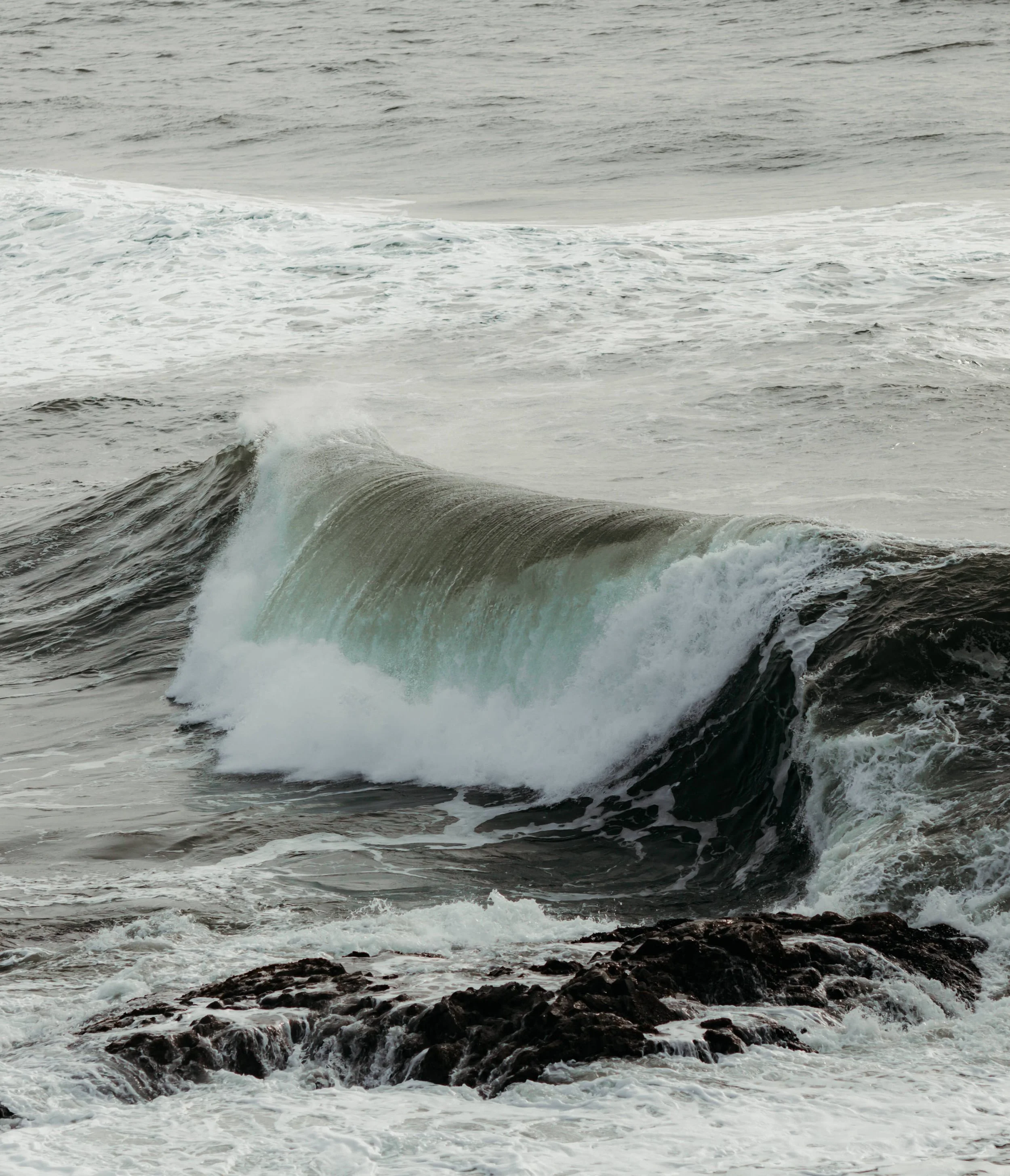  Tofino Elopement Photographer & Videographer 