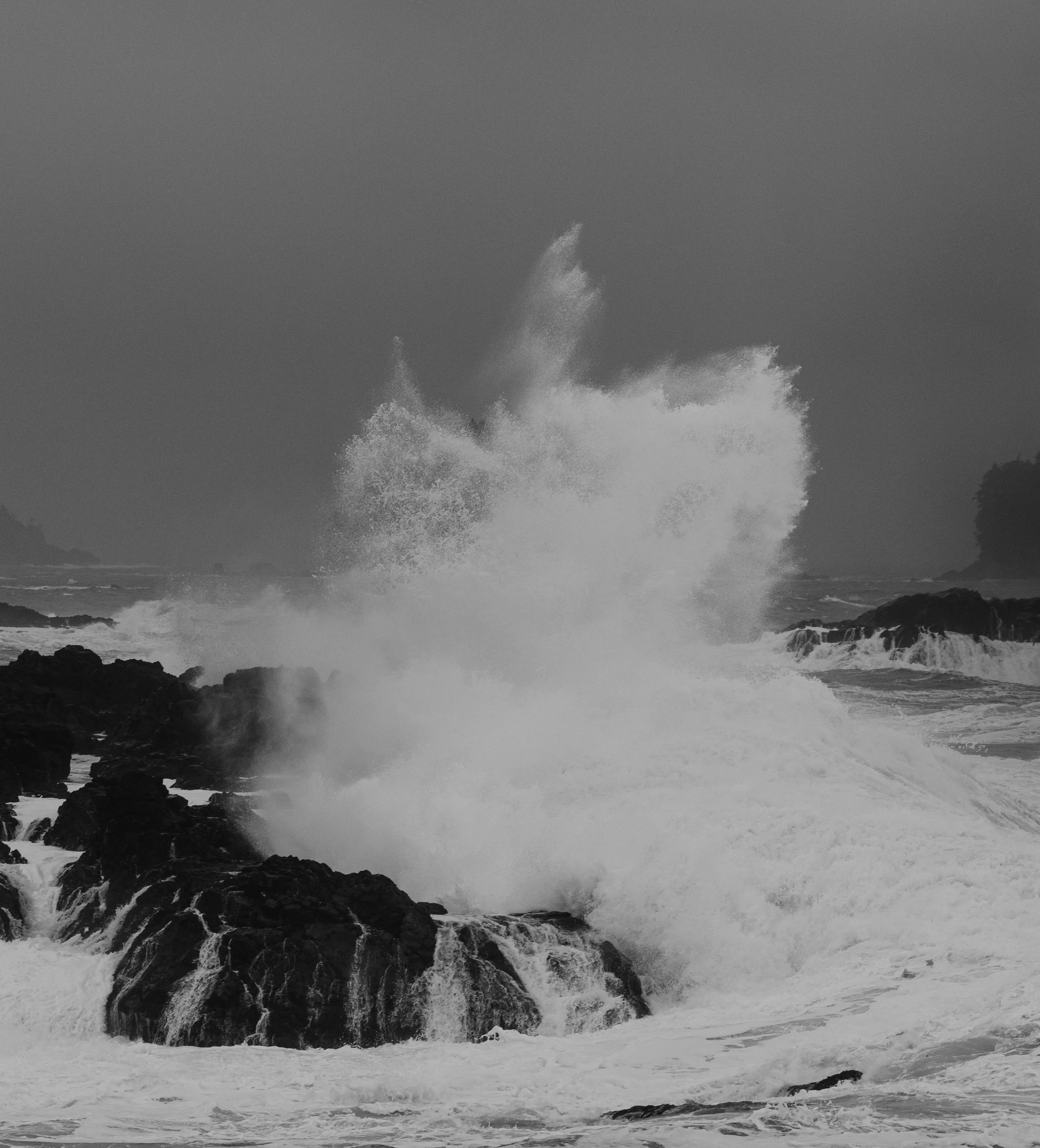  Tofino Elopement Photographer & Videographer 