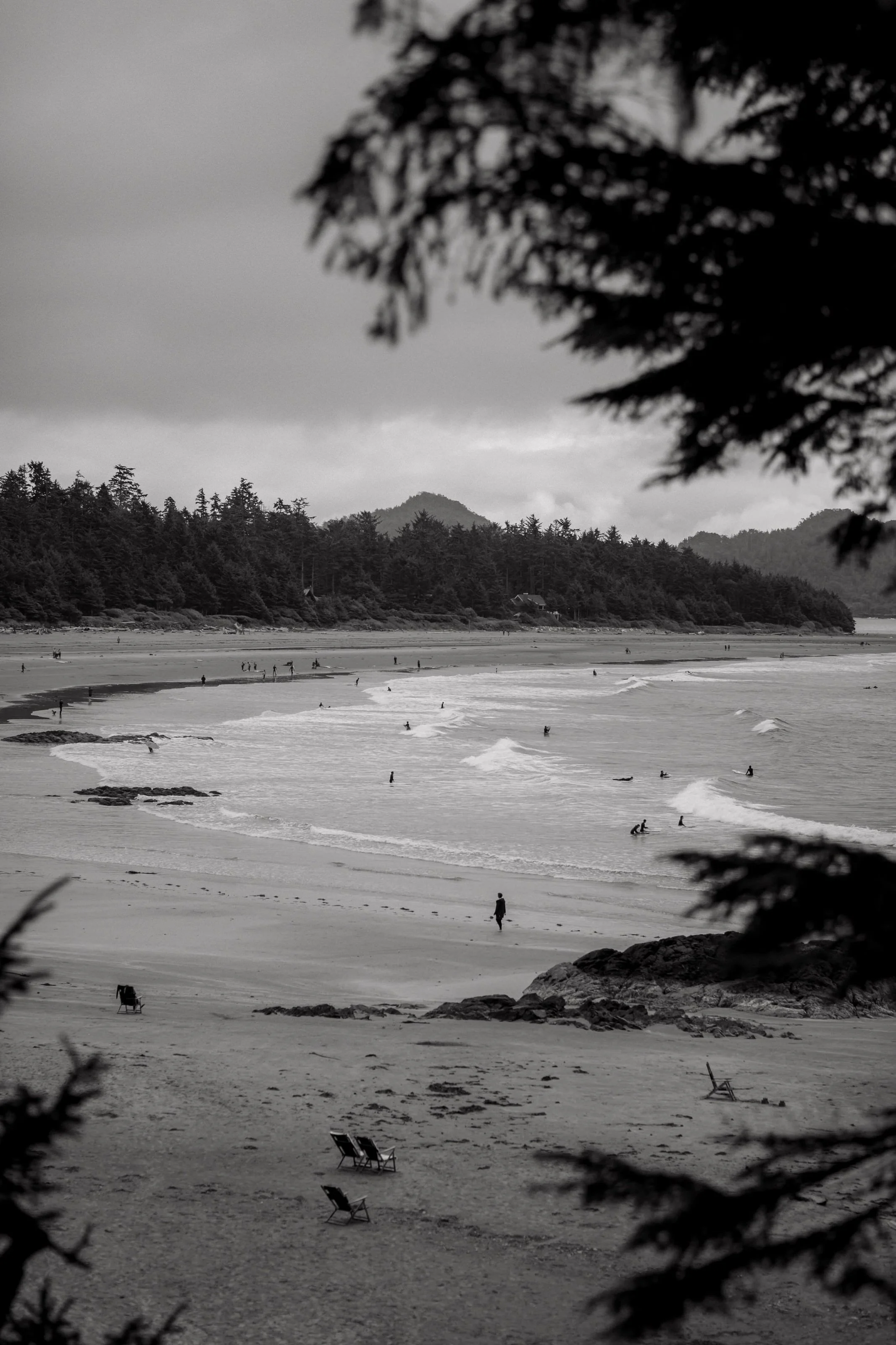  Tofino Elopement Photographer & Videographer 