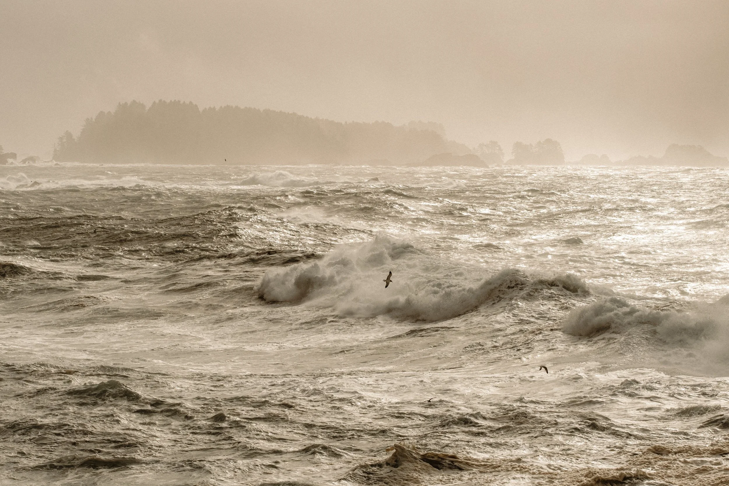  Autumn Tofino Wedding at the Wickaninnish Inn 