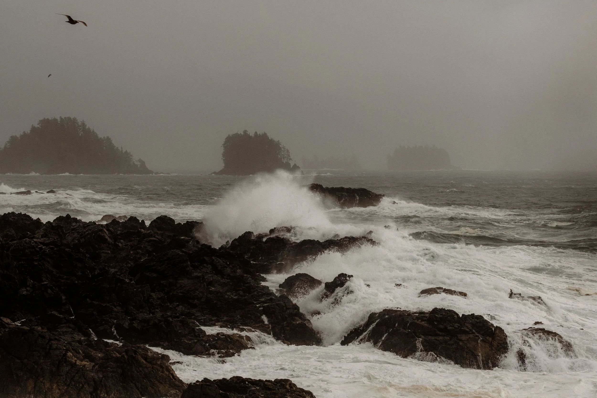  Autumn Tofino Wedding at the Wickaninnish Inn 