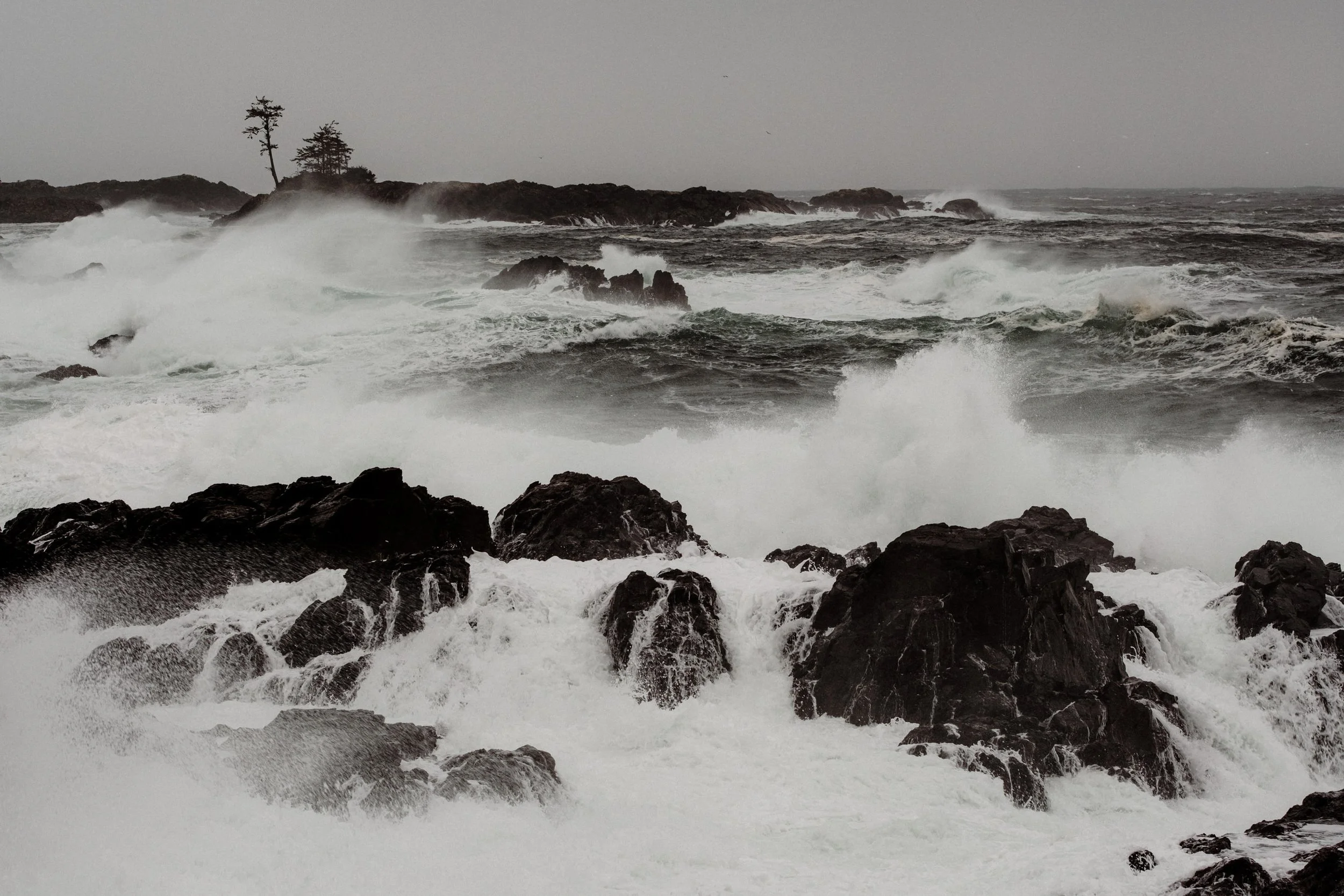  Autumn Tofino Wedding at the Wickaninnish Inn 