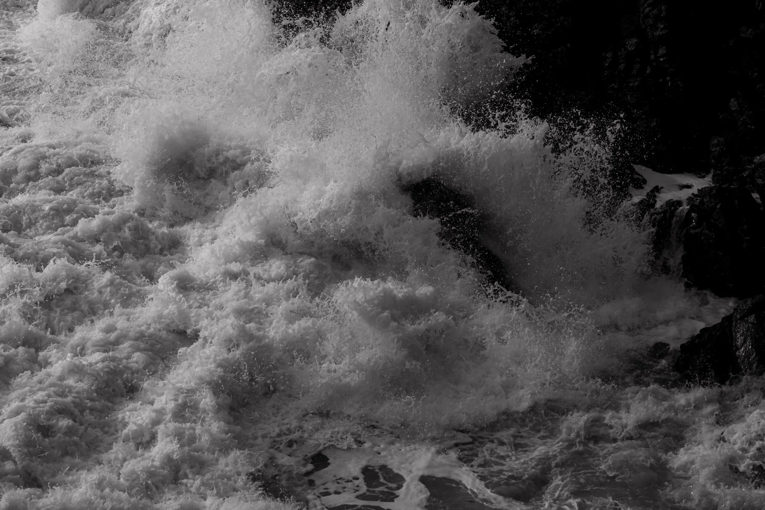  Autumn Tofino Wedding at the Wickaninnish Inn 