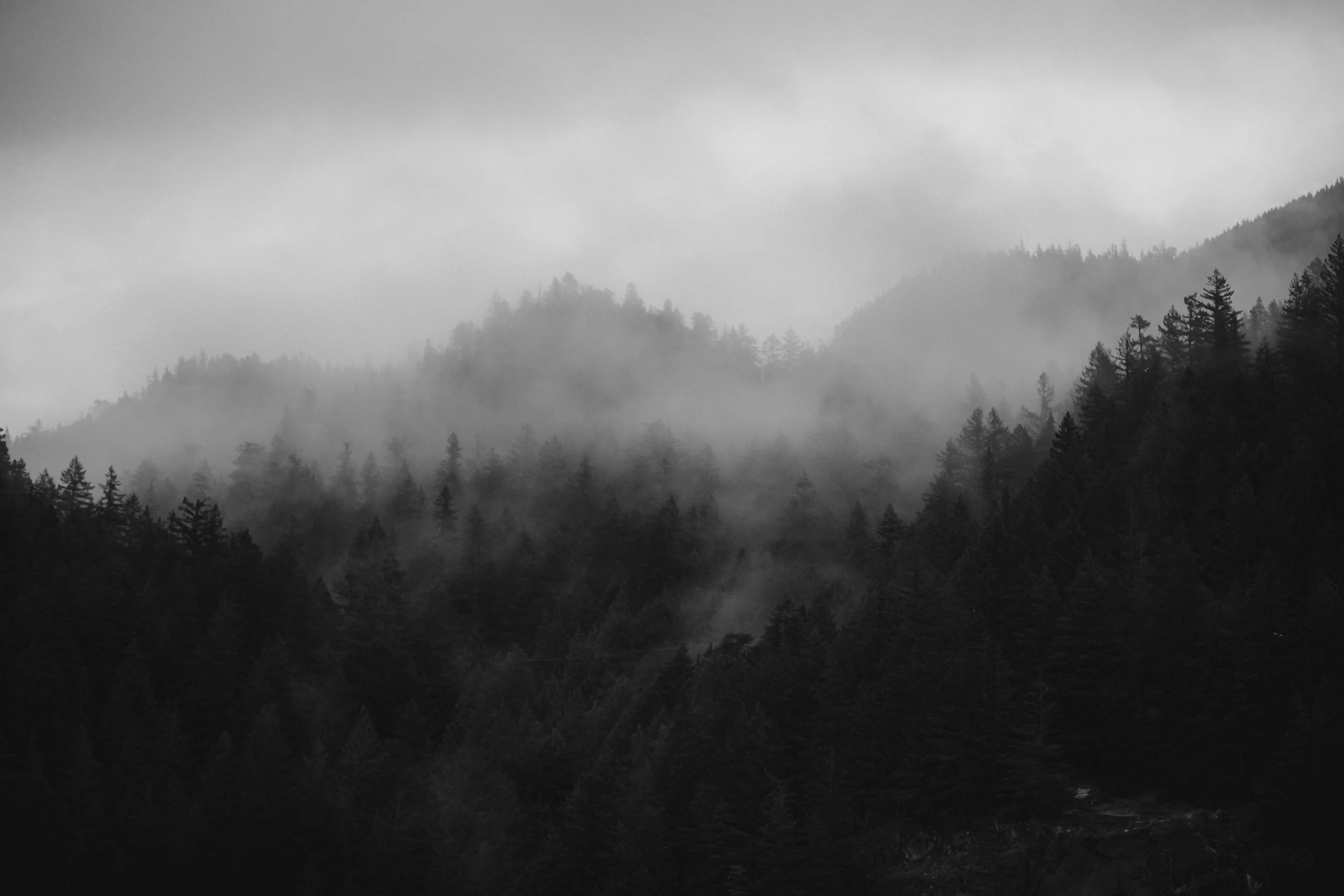  Vancouver and Squamish Elopement Photographer 