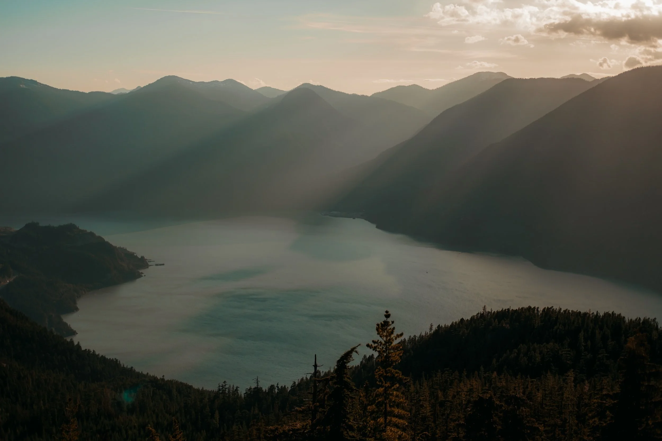  Candid Emotional Wedding and Elopement Photos 