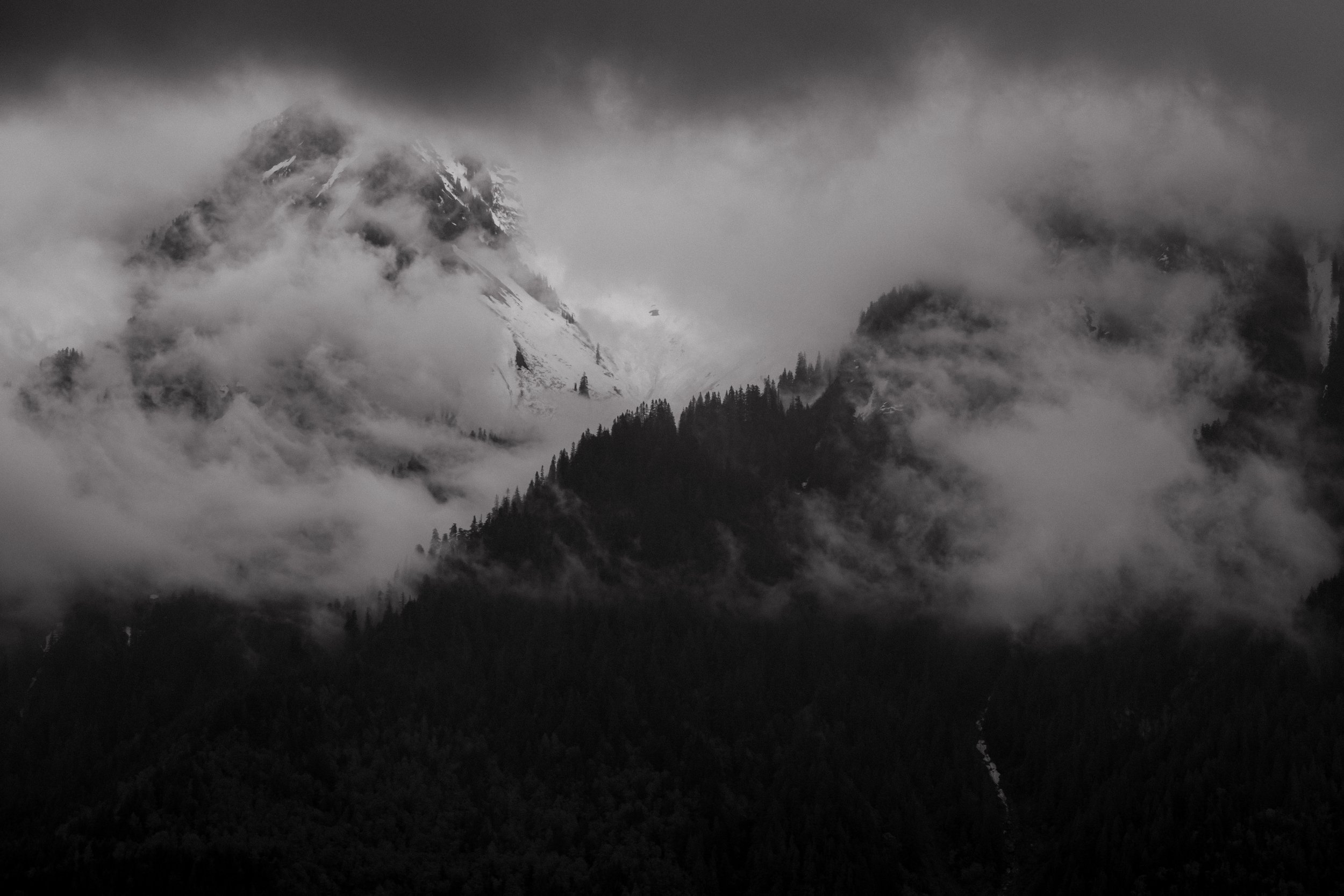  Candid Emotional Wedding and Elopement Photos 