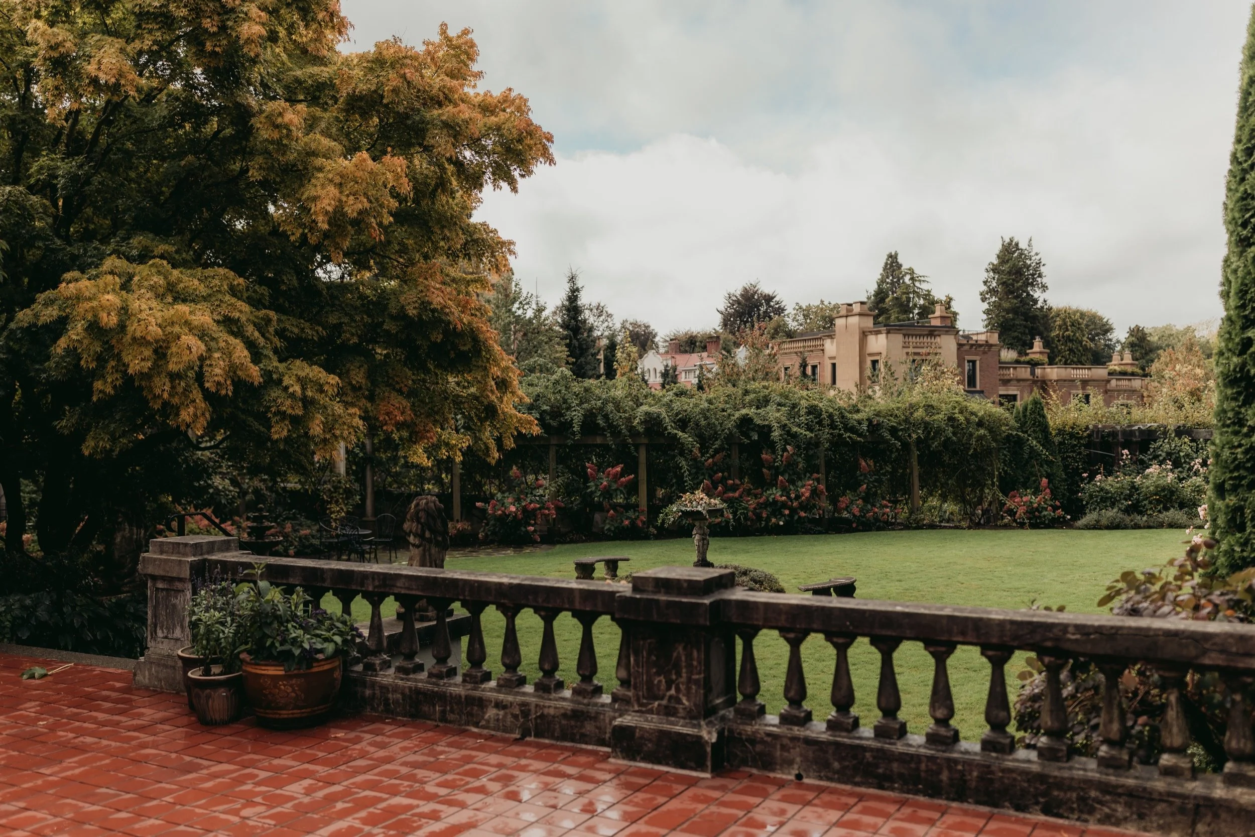  Candid Emotional Wedding and Elopement Photos 