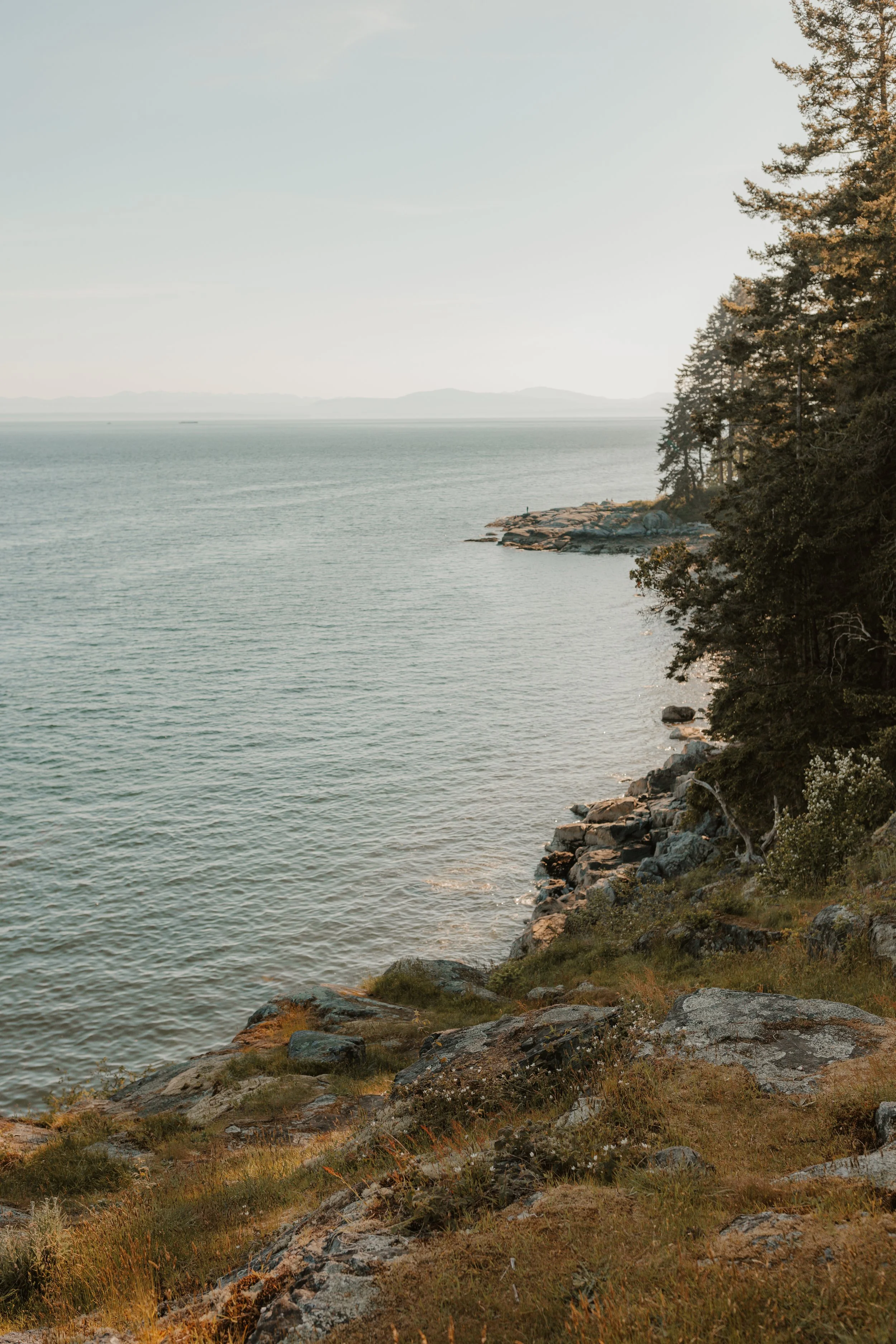 Sunshine Coast Proposal Photographer, Sunshine Coast Wedding Photographer,  Jen & Brian Photo & Film 486.JPG