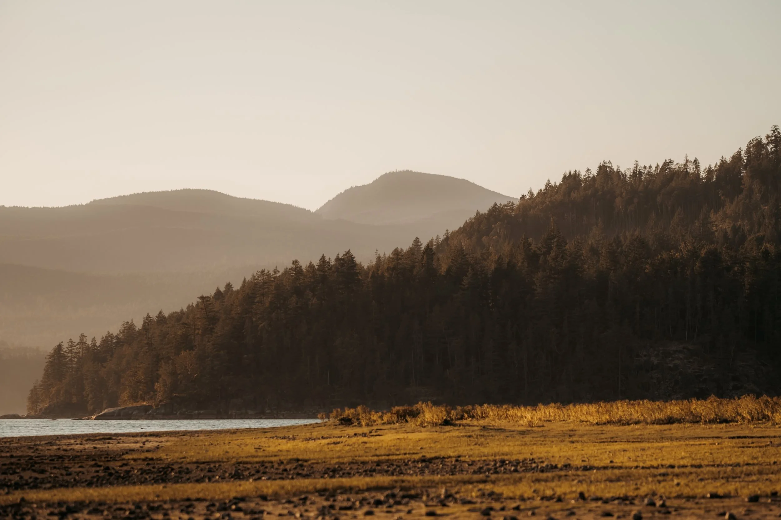 Porpoise Bay Elopement, Best locations to get married on the Sunshine Coast, BC, 022.JPG