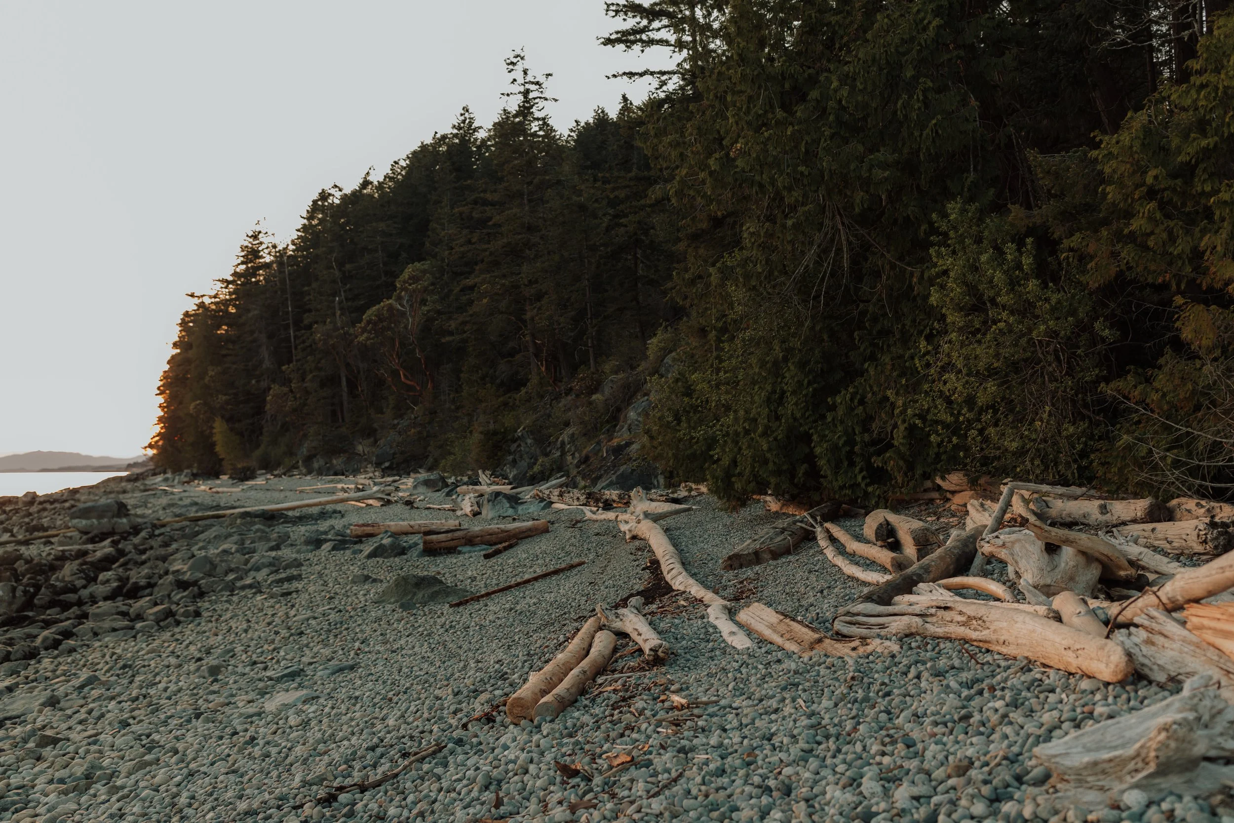Gulf Beach Roberts Creek Elopement, Best locations to get married on the Sunshine Coast, BC, 199.JPG