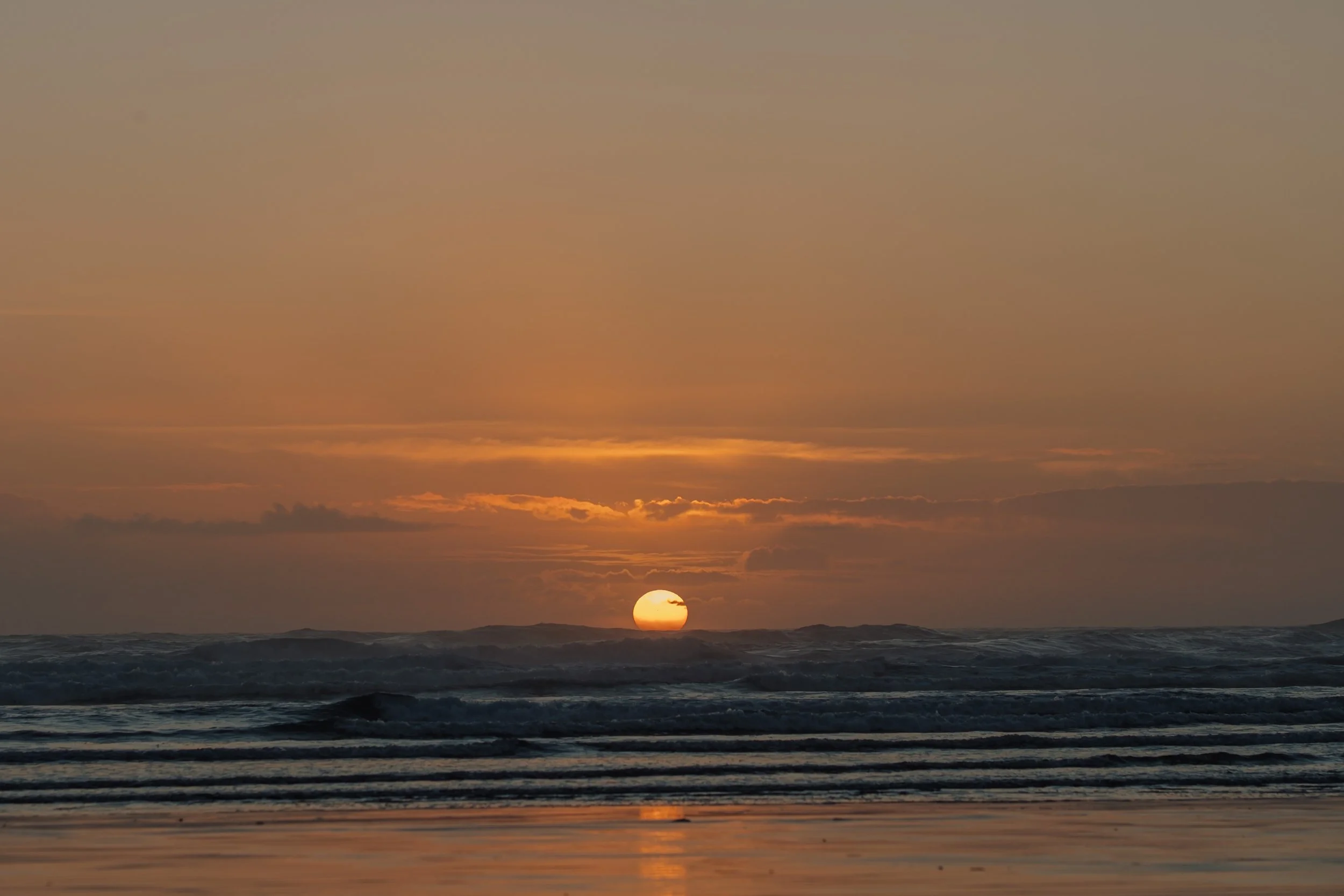 Tofino BC Wedding Photographer and Videographer,  Jen + Brian Photo & Film, 024.JPG (Copy) (Copy)